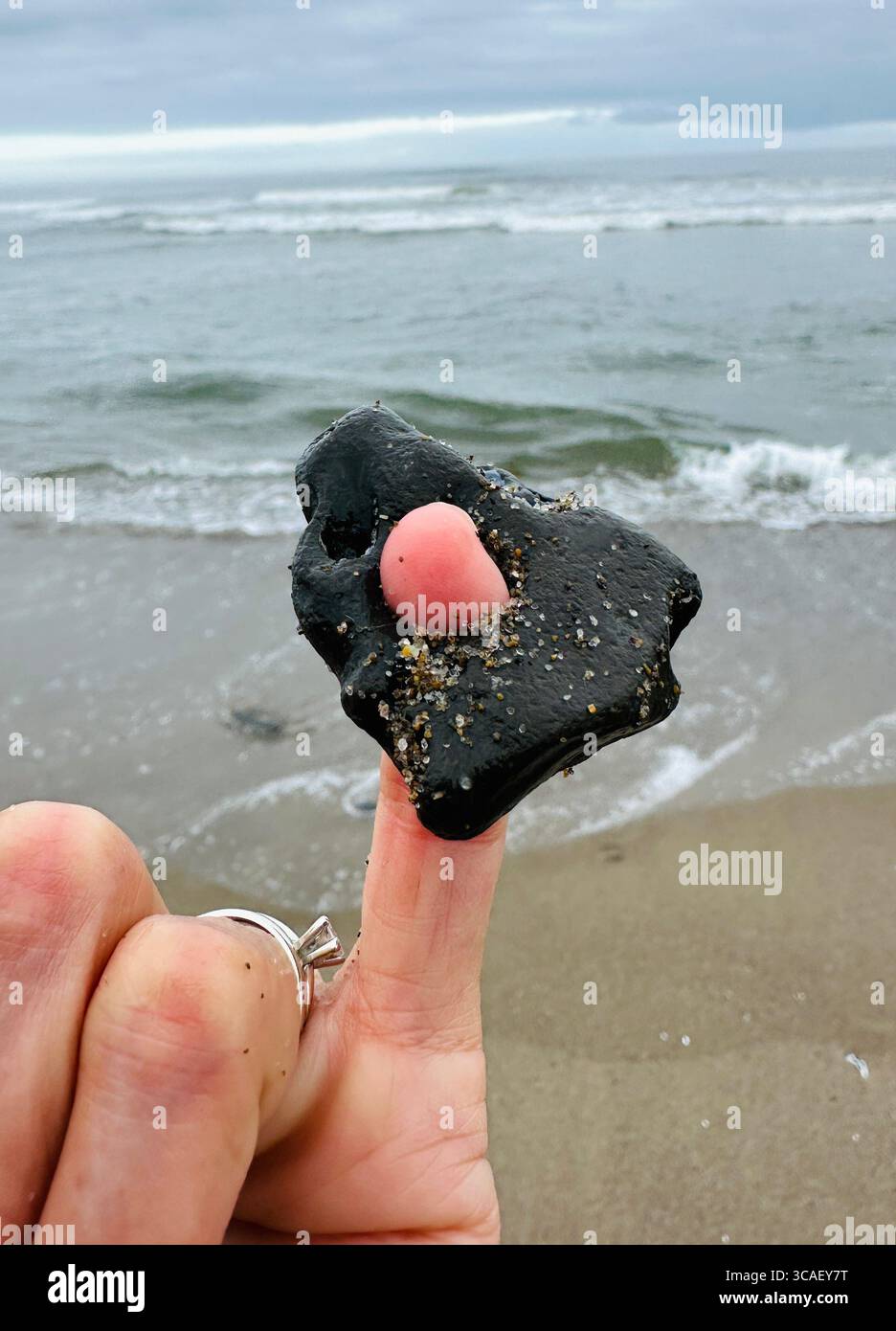 Nahaufnahme einer Hand, die einen Stein hält, an einem Strand in Lincoln City, Oregon. - Smartphone-aufgenommenes Stockfoto