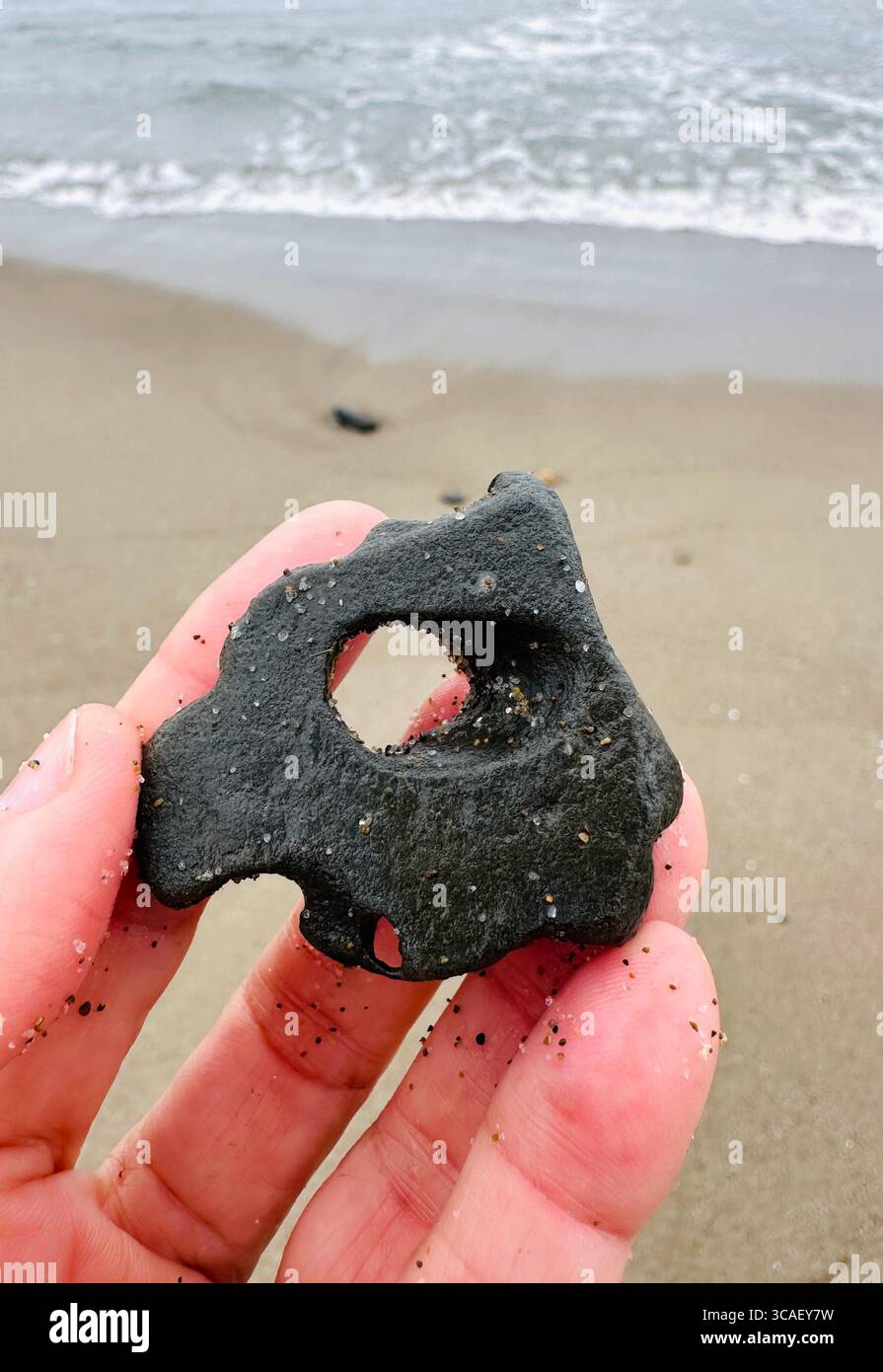 Nahaufnahme einer Hand, die einen Stein hält, an einem Strand in Lincoln City, Oregon. Stockfoto
