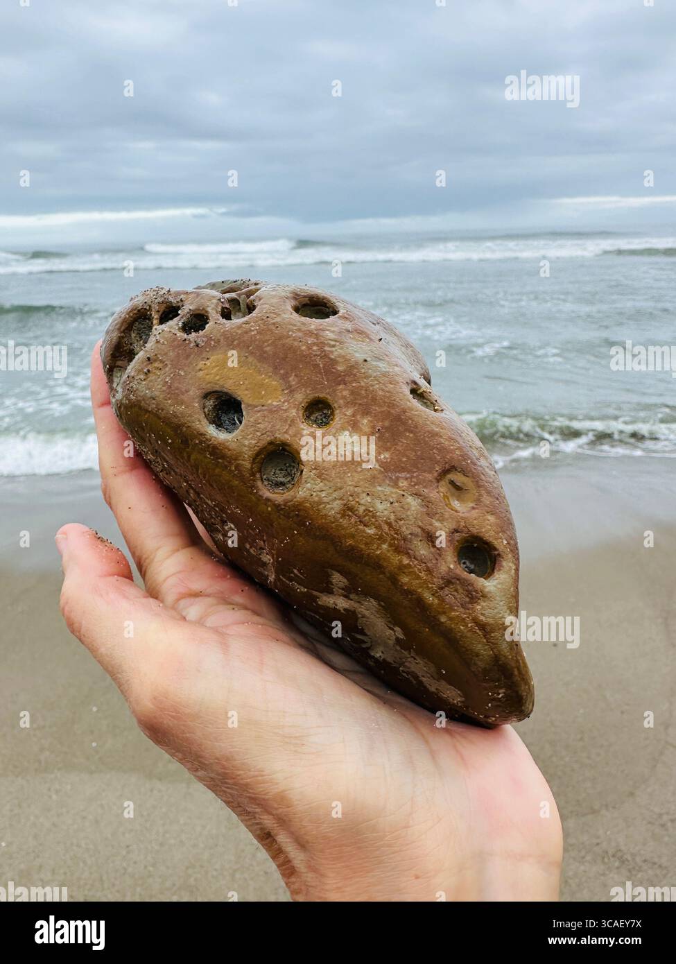 Nahaufnahme einer Hand, die einen Stein hält, an einem Strand in Lincoln City, Oregon. - Smartphone-aufgenommenes Stockfoto