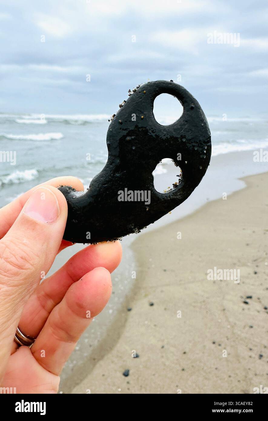 Nahaufnahme einer Hand, die einen Stein hält, an einem Strand in Lincoln City, Oregon. - Smartphone-aufgenommenes Stockfoto