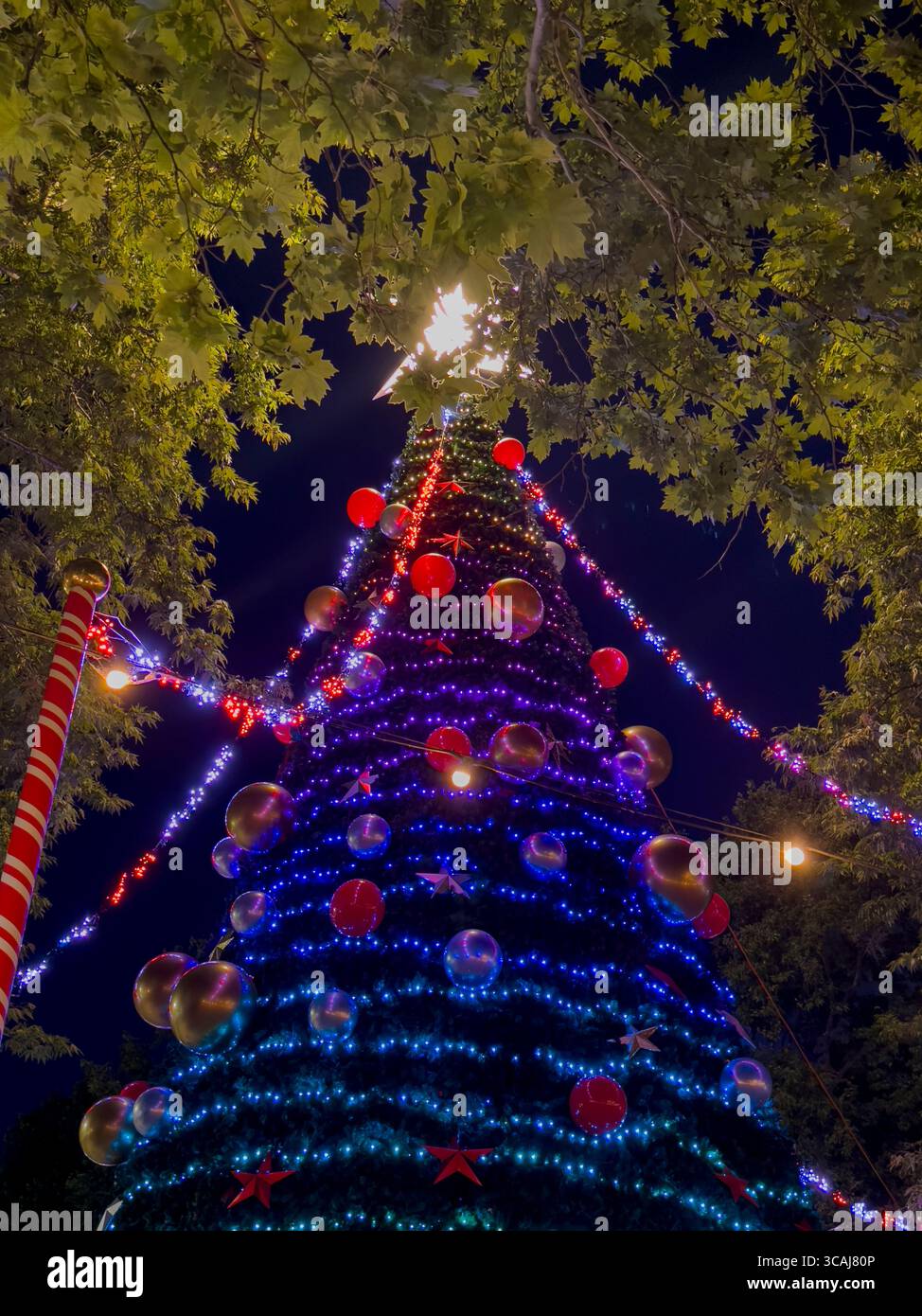Beleuchteter Weihnachtsbaum mit farbenfrohen Lichtern und Ornamenten, der nachts hell leuchtet und während des Festes eine magische Atmosphäre schafft Stockfoto