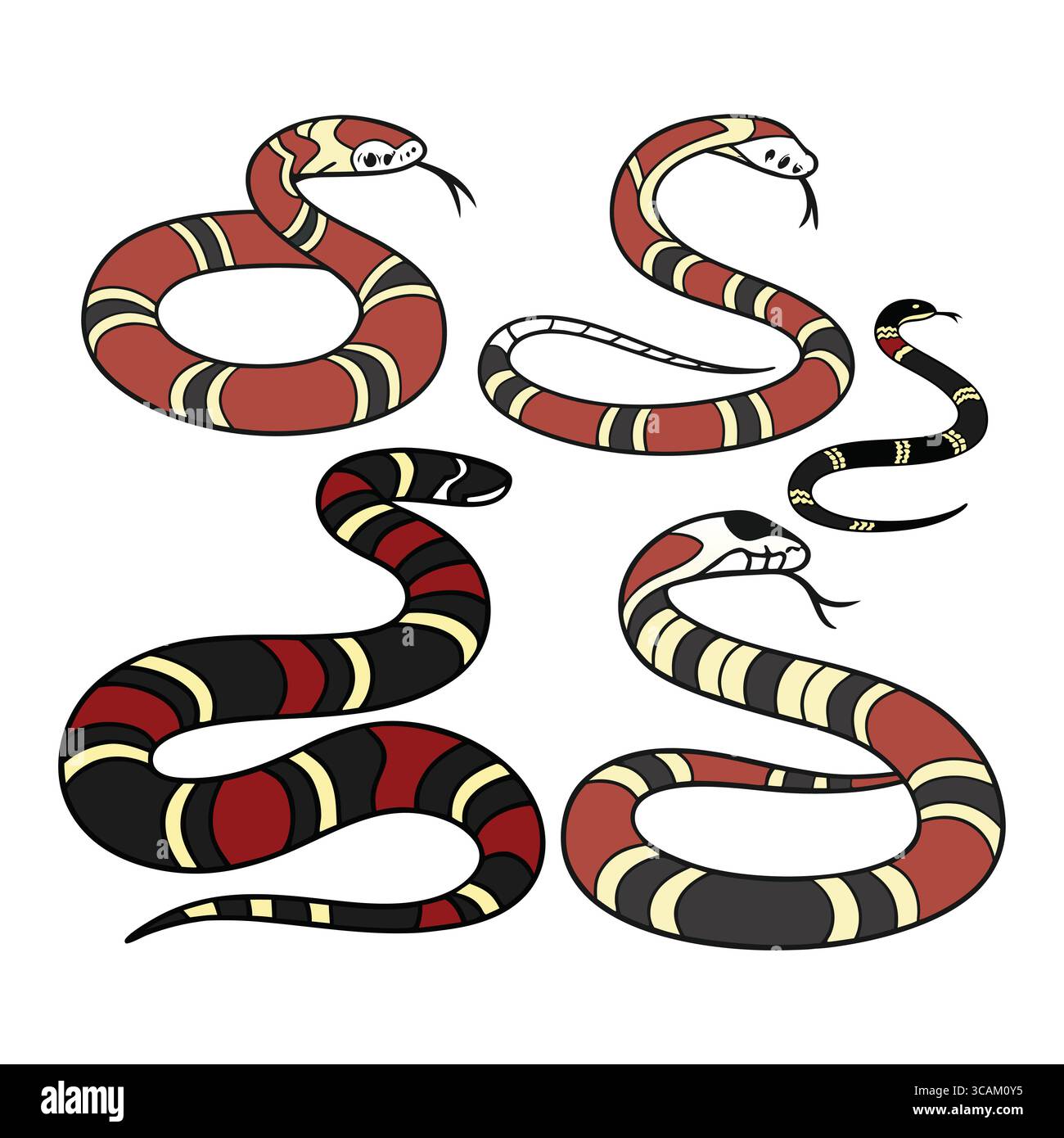 Illustrated Collection von Arizona Coral Schlangen mit einzigartigem Muster Stock Vektor