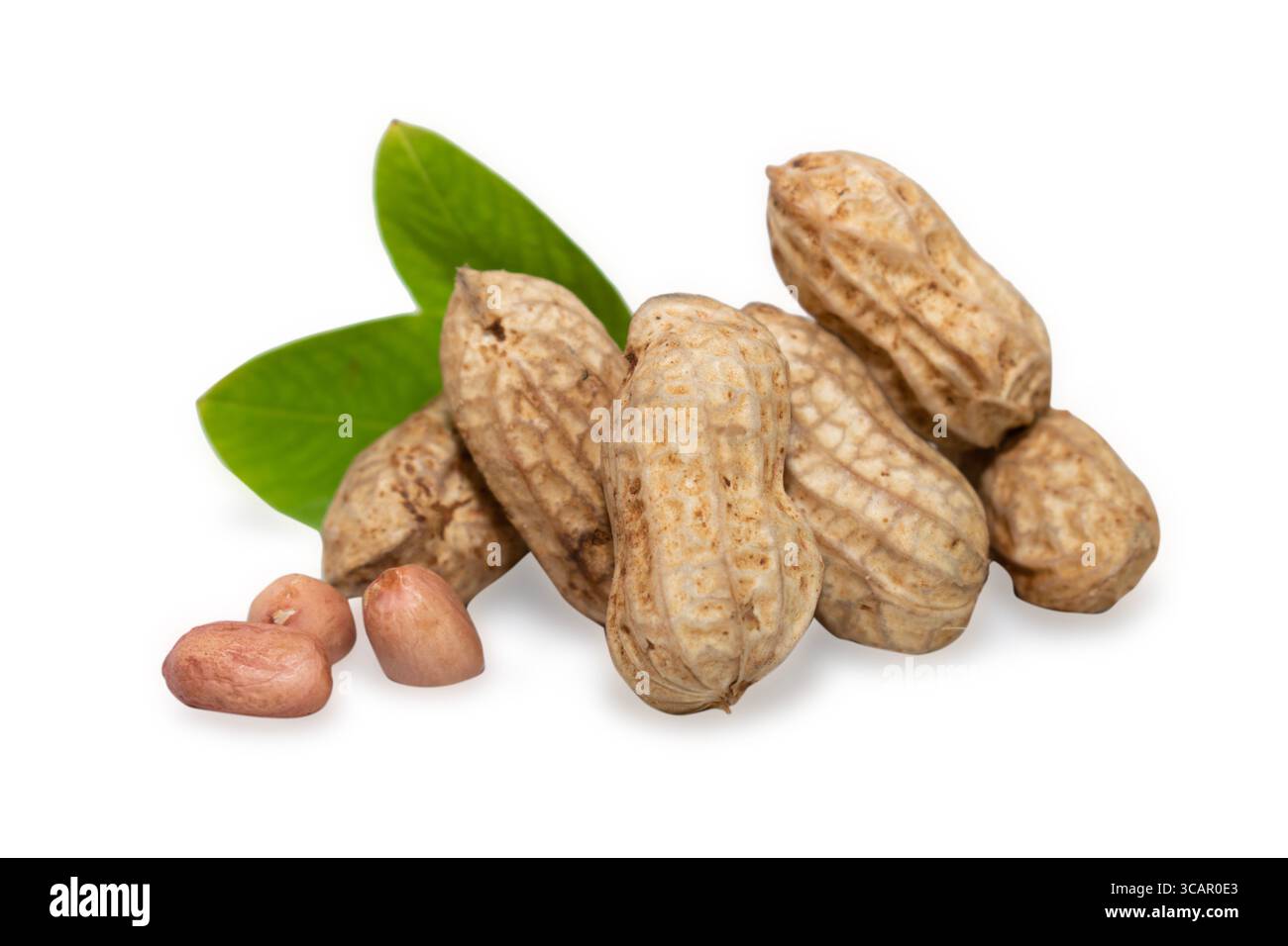Erdnüsse und grüne Blätter isoliert auf weißem Hintergrund Stockfoto