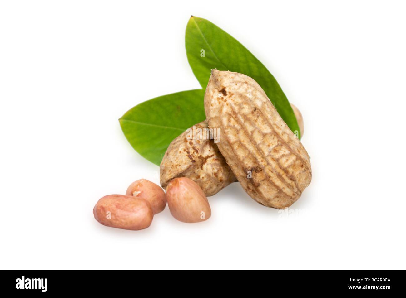 Erdnüsse und grüne Blätter isoliert auf weißem Hintergrund Stockfoto