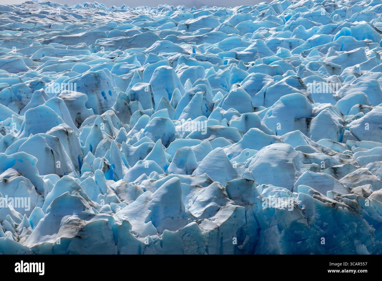 Eisbildung auf dem Gray Gletscher am Lago Gray Lake im Torres del Paine Nationalpark, Torres del Paine, Magallanes y de la Antartica Chilena, Patagon Stockfoto
