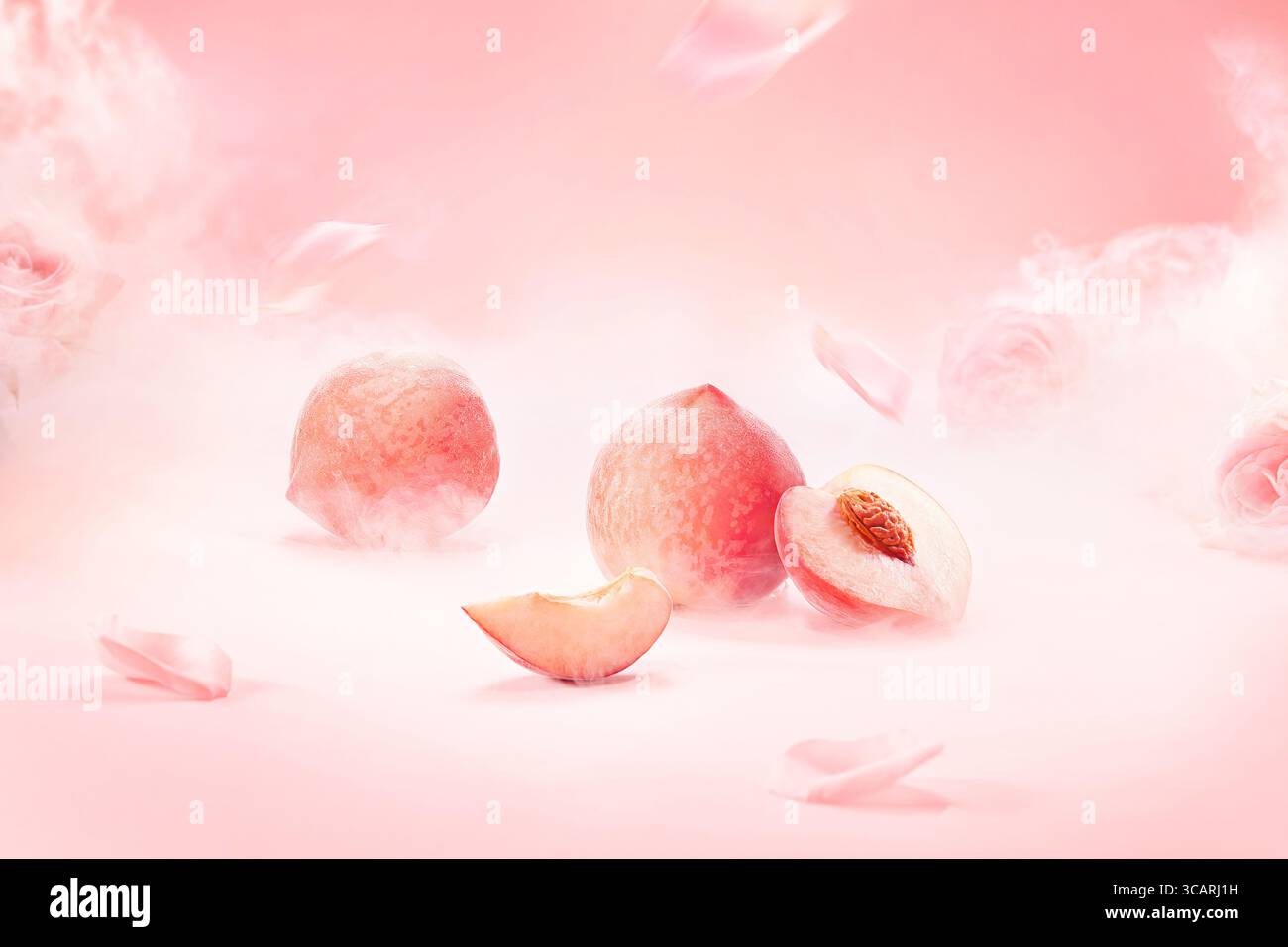 Saftige Pfirsiche und Rosenblüten in Soft Pink Nebel Fresh Fruit Fotografie, Pfirsichfrucht auf rosa Hintergrund. Pfirsichfarbene Scheiben auf rosafarbenem Hintergrund. Stockfoto