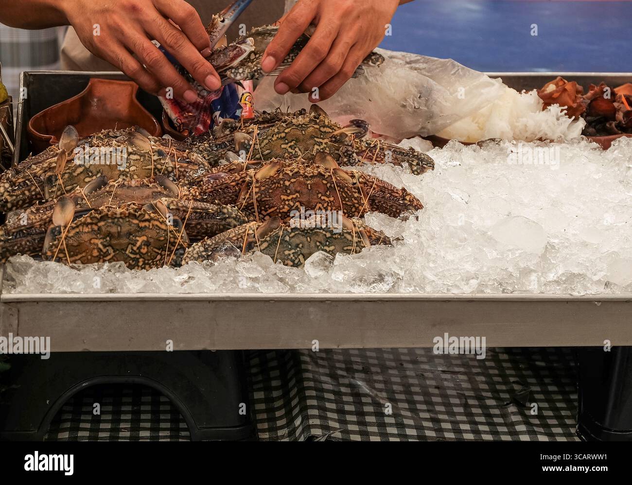 Frische Krabben auf Eis auf dem Seafood Market mit Händlern, die ein Produkt auswählen Stockfoto
