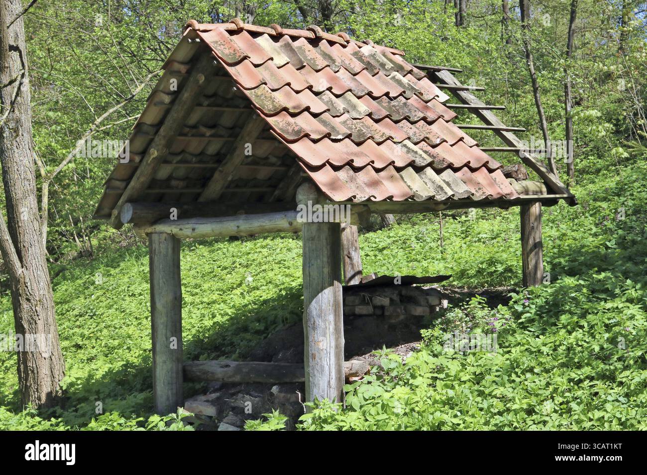 Eine ohne Wände Halle für die Lagerung von Brennholz liegt am Hang eines Hügels liegt. Feder sonnigen Tag Stockfoto