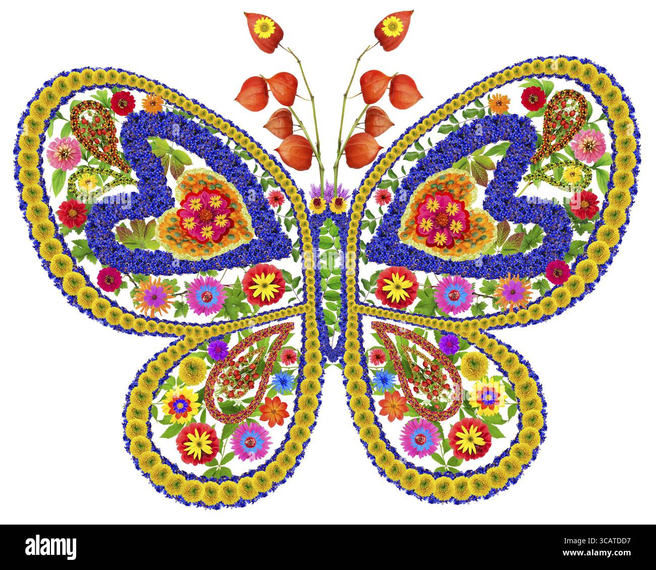Schmetterling in Liebe abstrakte Collage aus frischen Sommerblumen. Isoliert Stockfoto