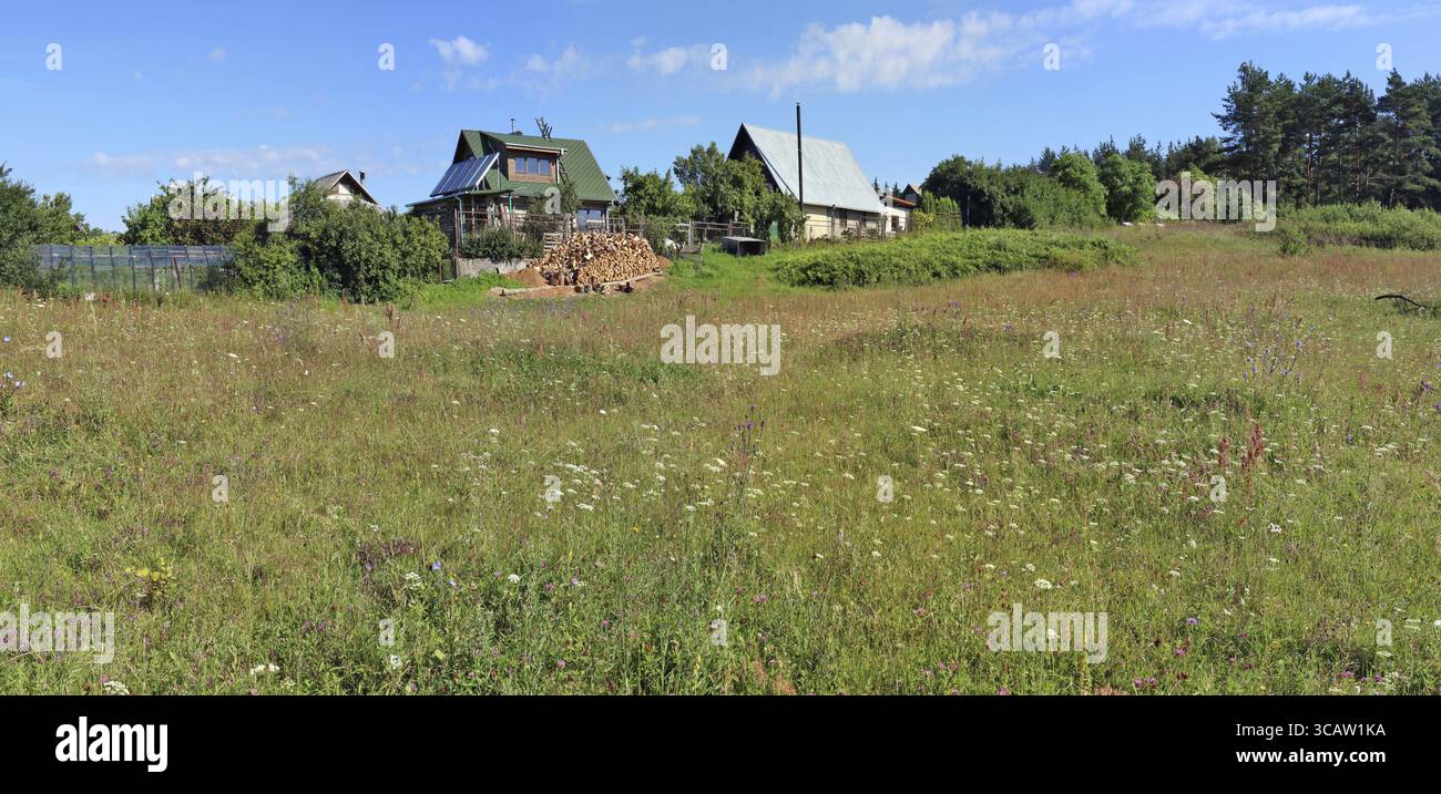 Eine typische litauische Sommergraswiesen blühende Wiese in der Nähe eines vergessenen Waldes Dorf ohne Namen. Panoramalandschaft von mehreren Juli-Fotos Stockfoto