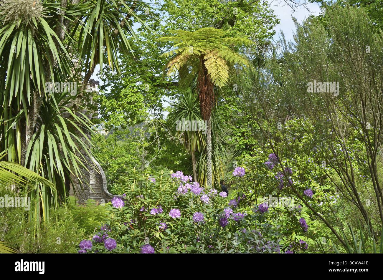 Teil der tropischen südlichen öffentlichen Park. Palmen und exotischen Pflanzen wachsen. sonnigen Frühling April Tag Landschaft Stockfoto