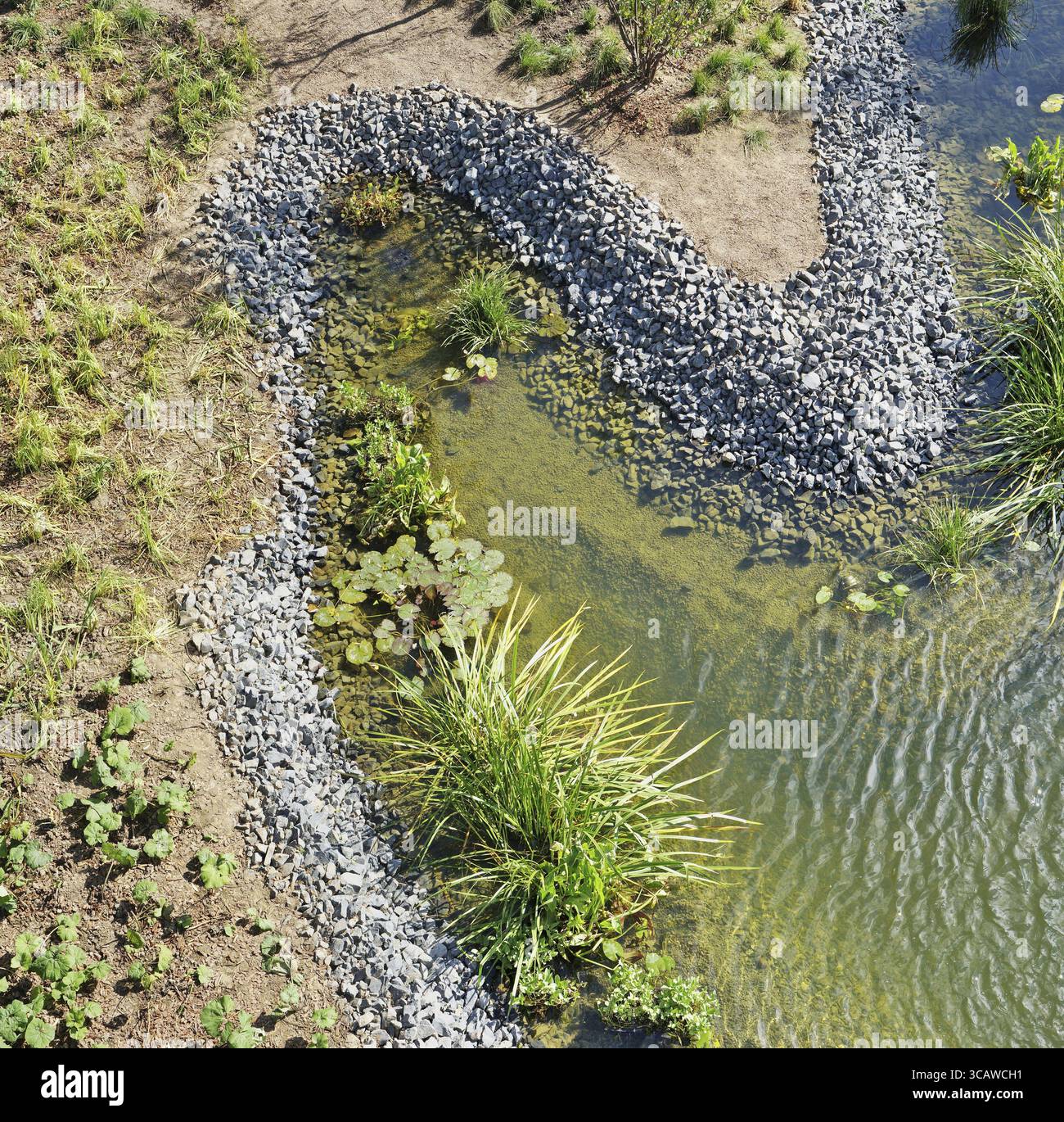 Ein Blick aus der Vogelperspektive auf einen modernen öffentlichen Stadtpark mit Rasen und künstlichem Teich. Sonnige Herbstlandschaft Stockfoto