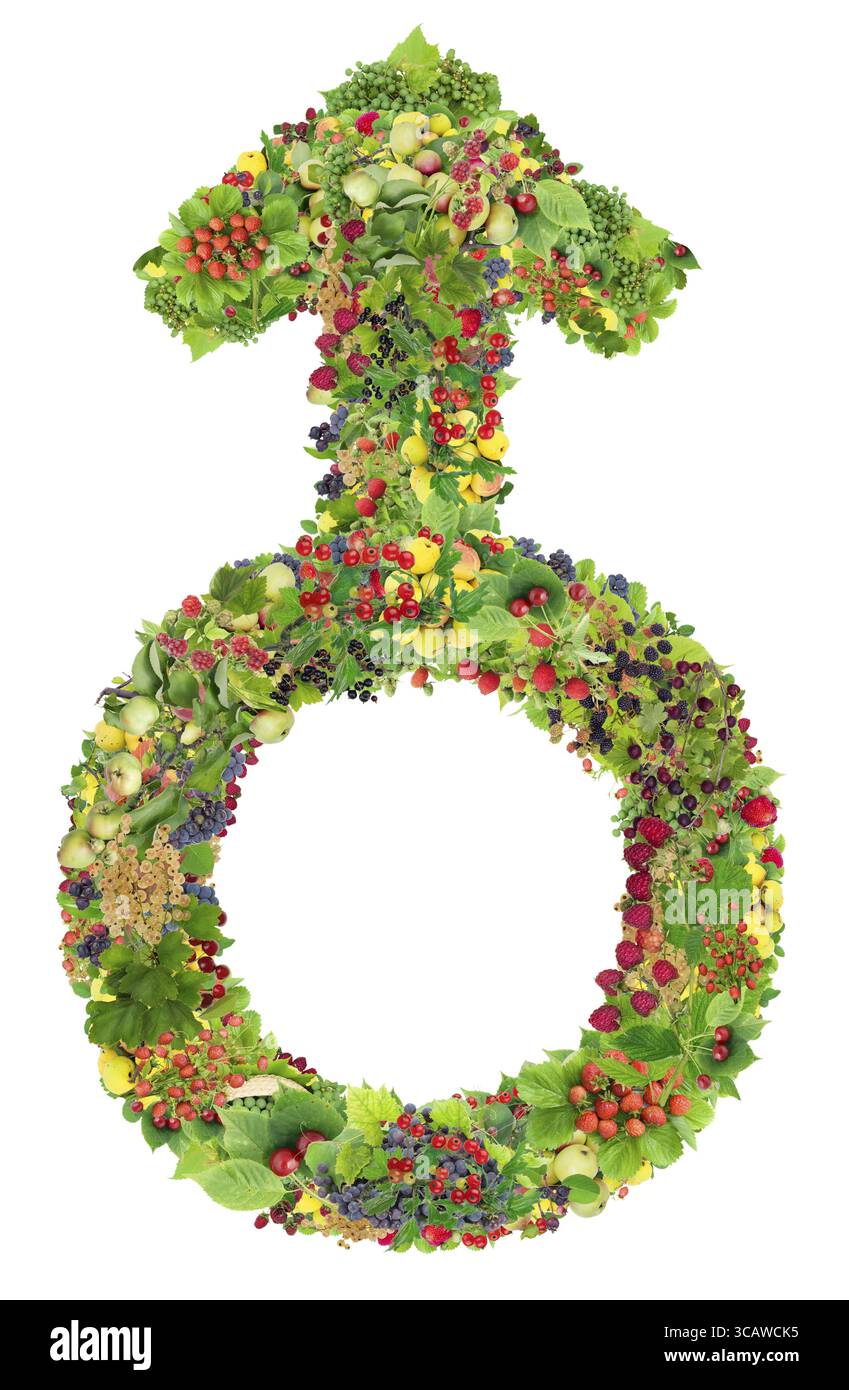 Das Männchen ist ein Sommerblumen-Konzept. Abstraktes Zeichensymbol für männliche Blumen. Handgefertigte isolierte Collage aus lebendigen Pflanzen Stockfoto