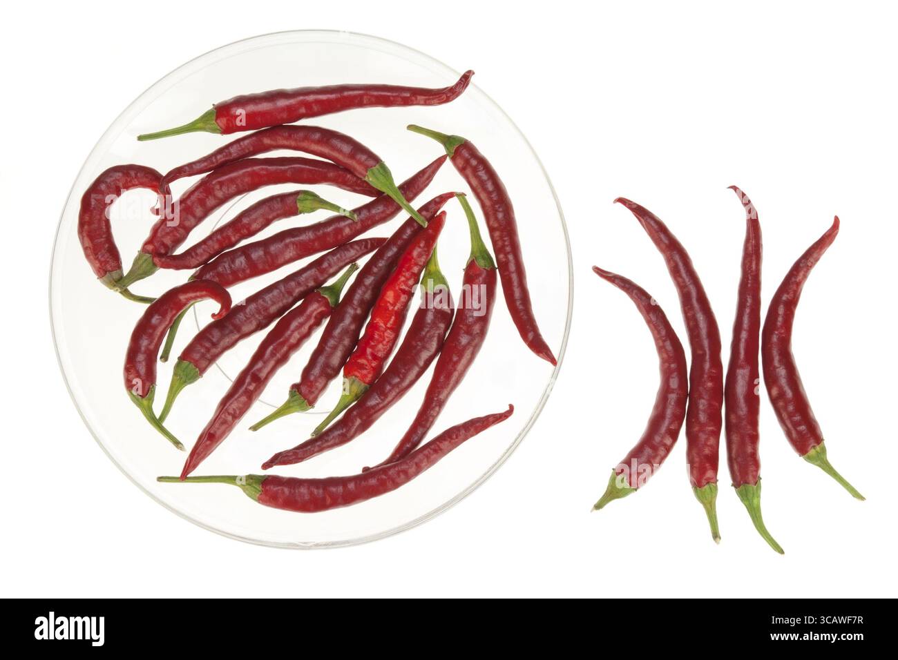 Auf einer transparenten Glasplatte - brennender roter Pfeffer. Isoliert Stockfoto