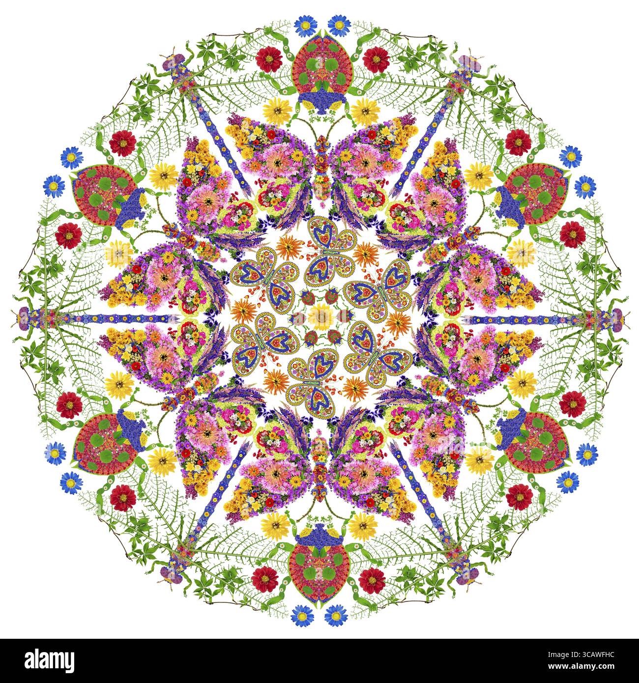 Insekten-Mandala. Schmetterlinge, Libellen und Marienkäfer bestehen aus hellen Sommerblumen. Isolierte handgefertigte collage Stockfoto