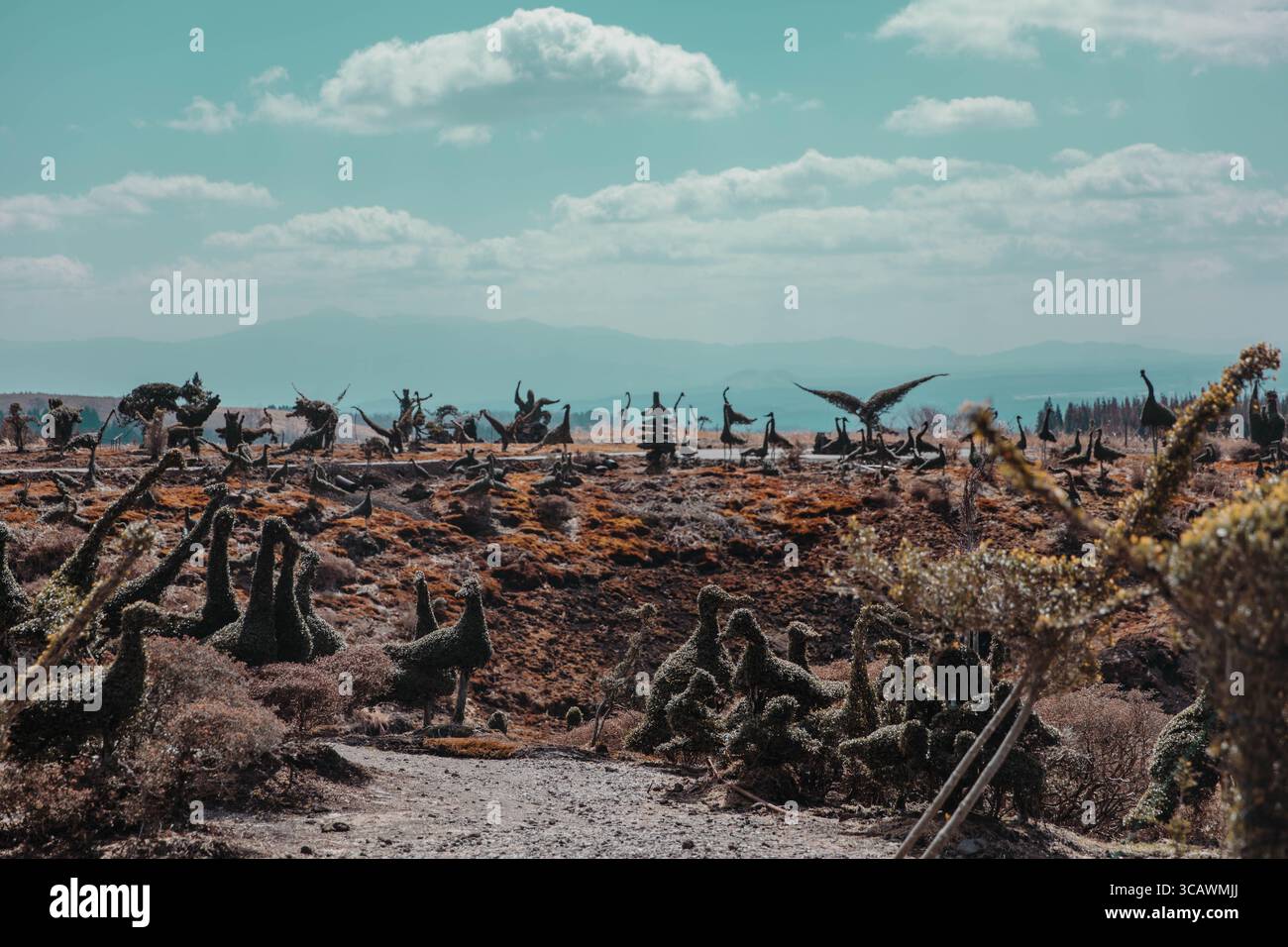 Dampfende Fumarolen und vulkanisches Gelände am Mount Unzen in der Präfektur Nagasaki, Japan, mit geothermischer Aktivität inmitten zerklüfteter Berglandschaft. Stockfoto