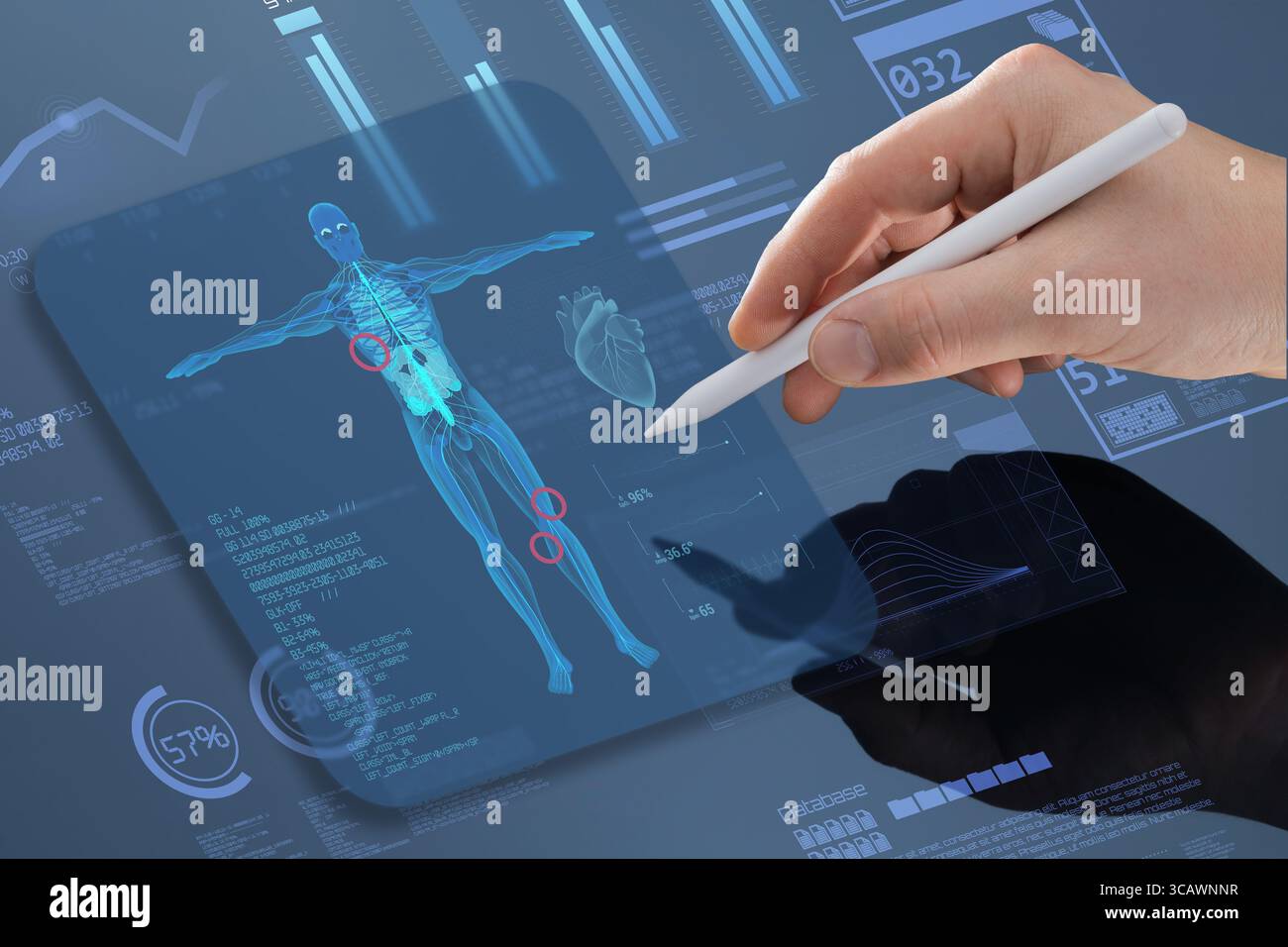 Hand mit Eingabestift, interagiert mit futuristischem Digitalbildschirm zur Anzeige der menschlichen Anatomie, des Herzens und der Datenanalyse. Das Konzept des KI-gestützten medizinischen Diagno Stockfoto