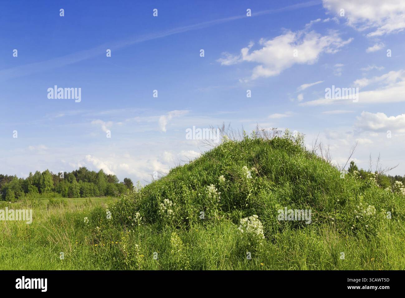 Blühende grüne Hügel Landschaft sonnigen Frühlingstag Stockfoto