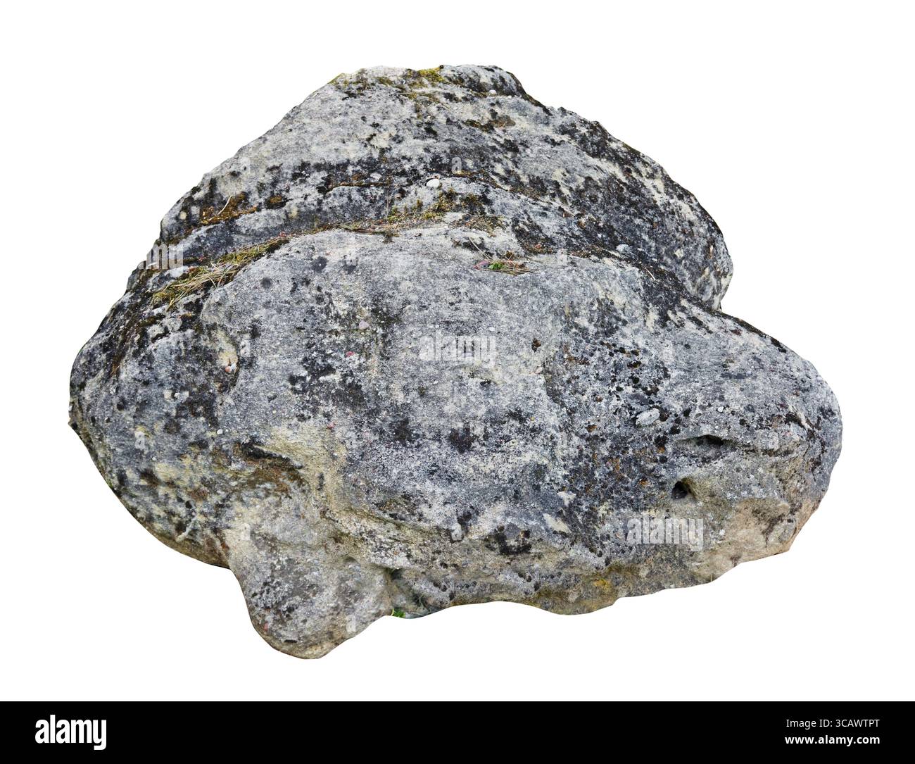 Der große alte moosige Granitstein mit blauem Mond-Fischform. Isoliert auf weißem Außenbereich Stockfoto