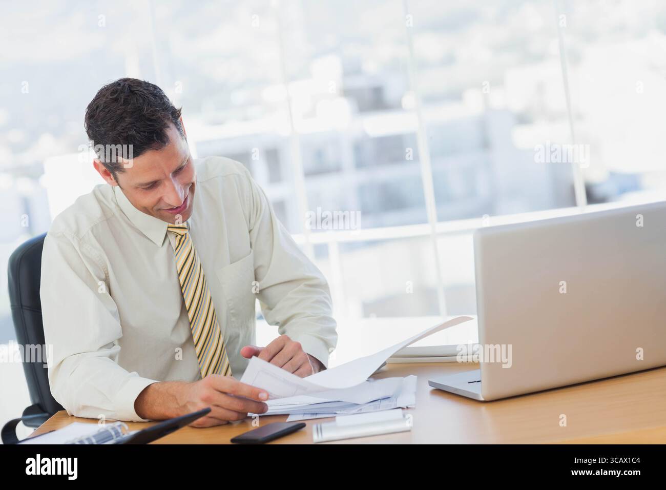 Männlicher Büroangestellter im Anzug, der mit Laptop am Schreibtisch sitzt und die Papiere durchblättert Stockfoto