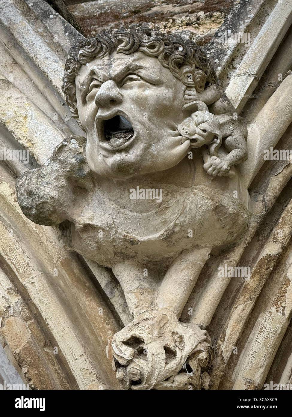 Kleiner Gargoyle beißt größer schreiend grotesk, ca. 1220-1228 (Salisbury Cathedral, England) Stockfoto