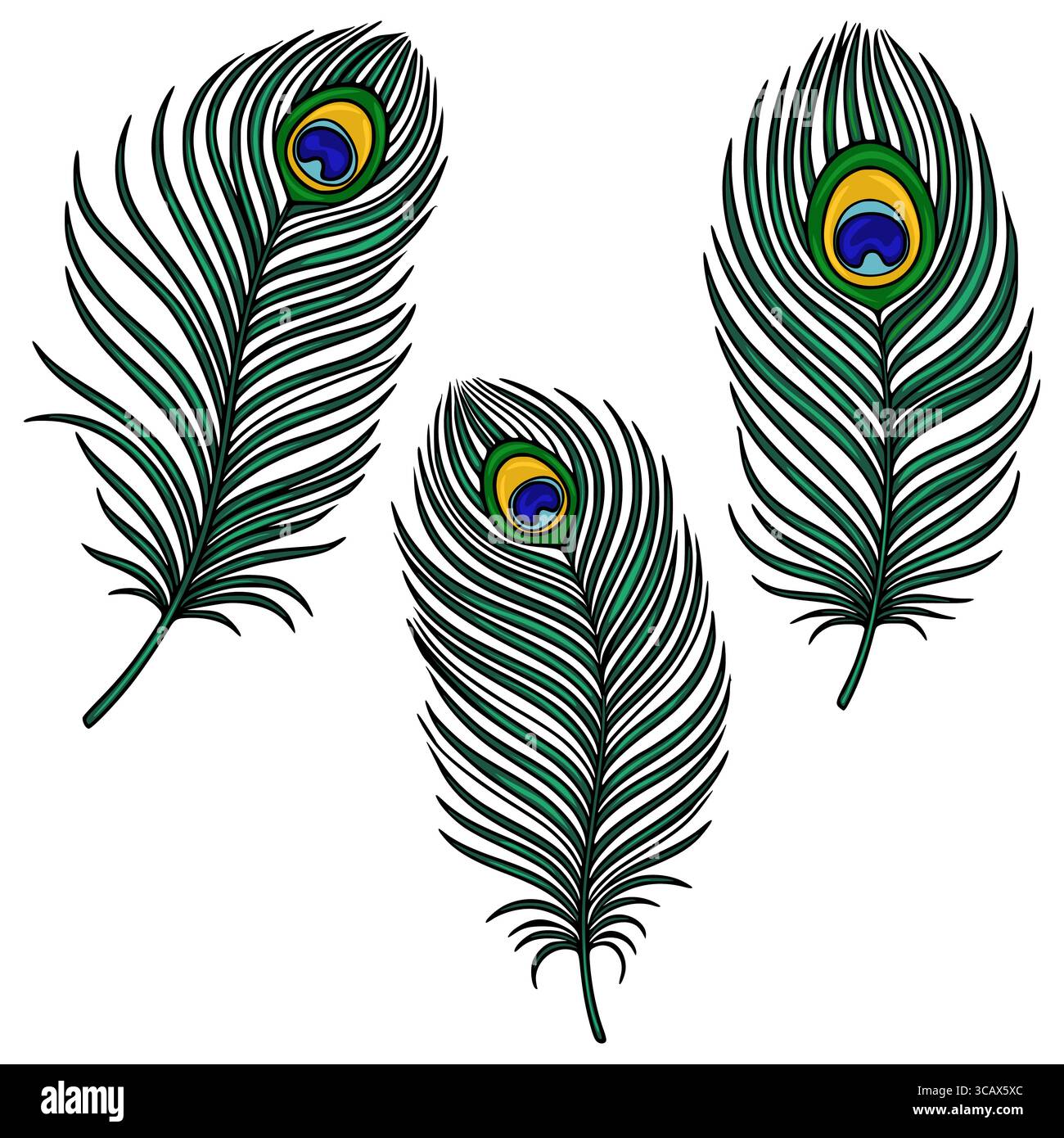 Eine Vektor-Illustration mit drei detaillierten Pfauenfedern, die jeweils leuchtende Grüntöne, ein auffälliges Augenmuster und einen realistischen Charakter zeigen Stock Vektor