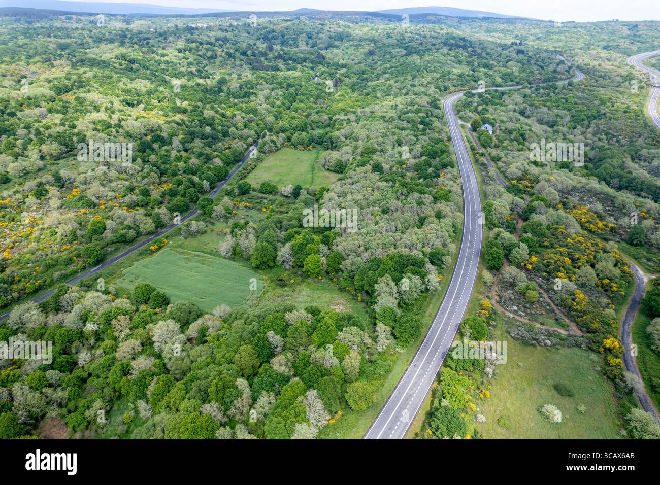 Eine Drohnenansicht auf eine Autobahn, die sich durch einen üppigen grünen Wald schlängelt. Eine gewundene Straßendrohne Stockfoto