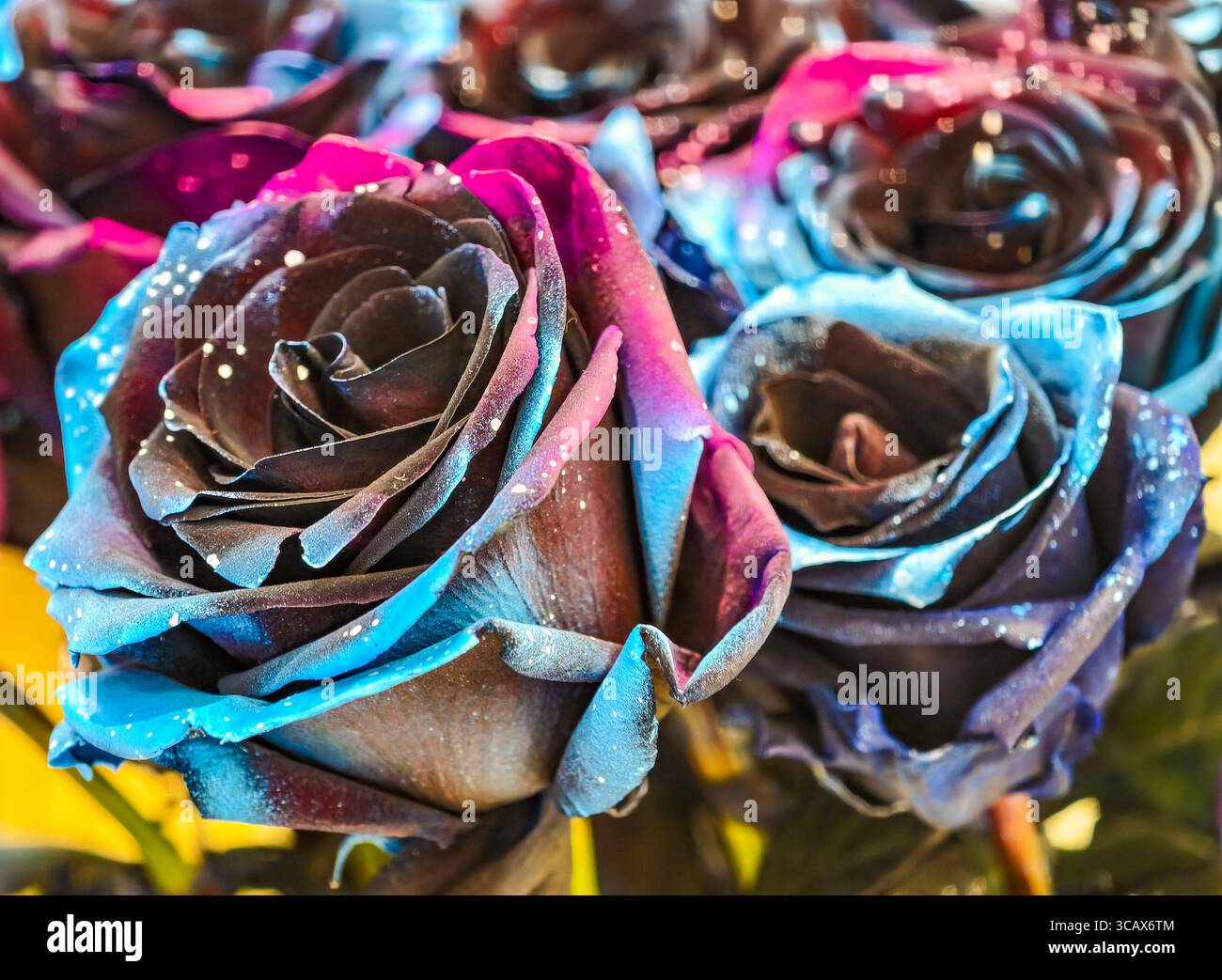 Bunte Rosen mit Glitzerakzenten. Der Exklusive Rosenhintergrund. Hochauflösende Bilder für Hintergrundbilder, soziale Medien, Marketing und kreative digitale Projekte. Stockfoto