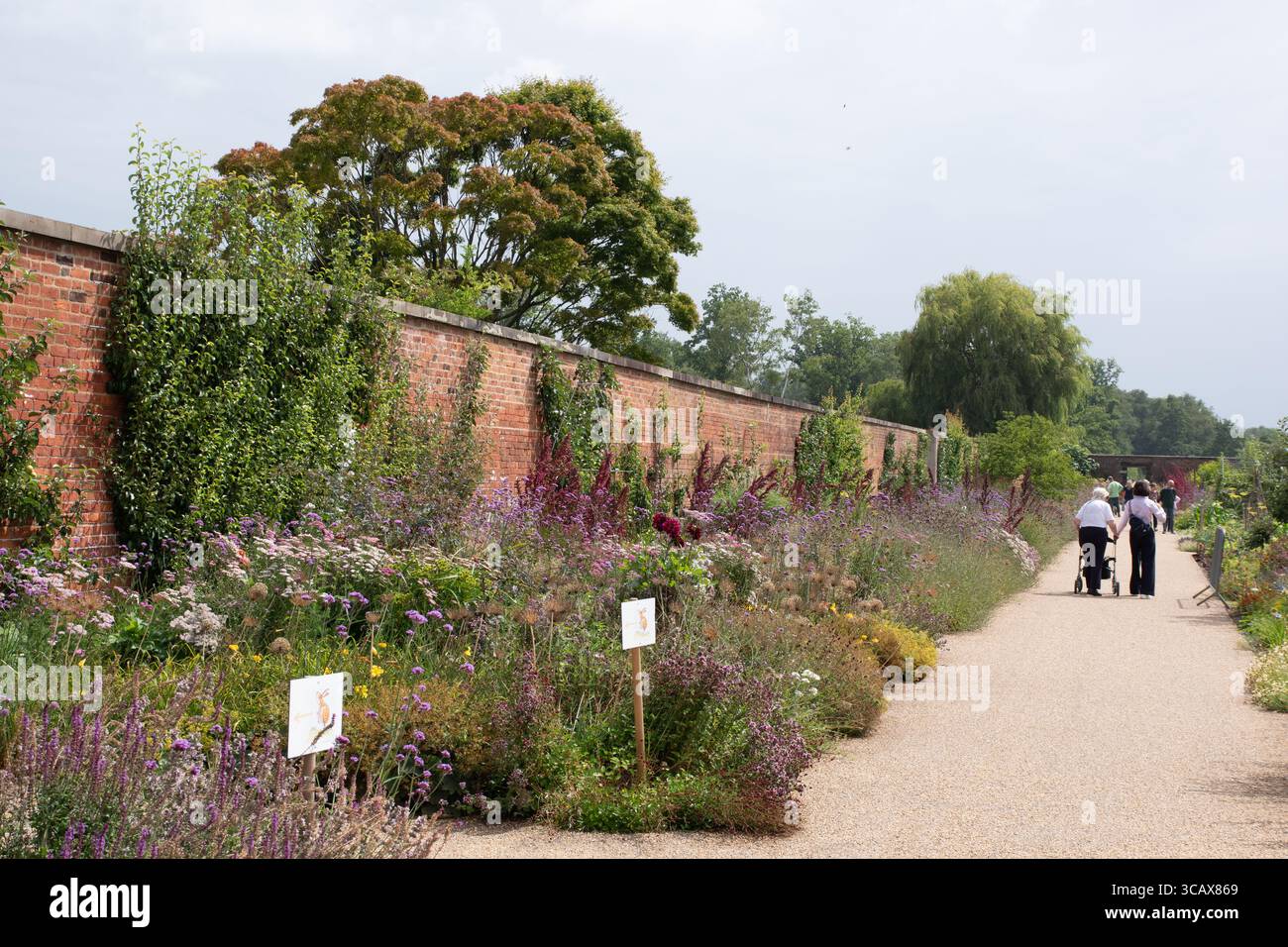 Der Weston Walled Garden, RHS Bridgewater Stockfoto