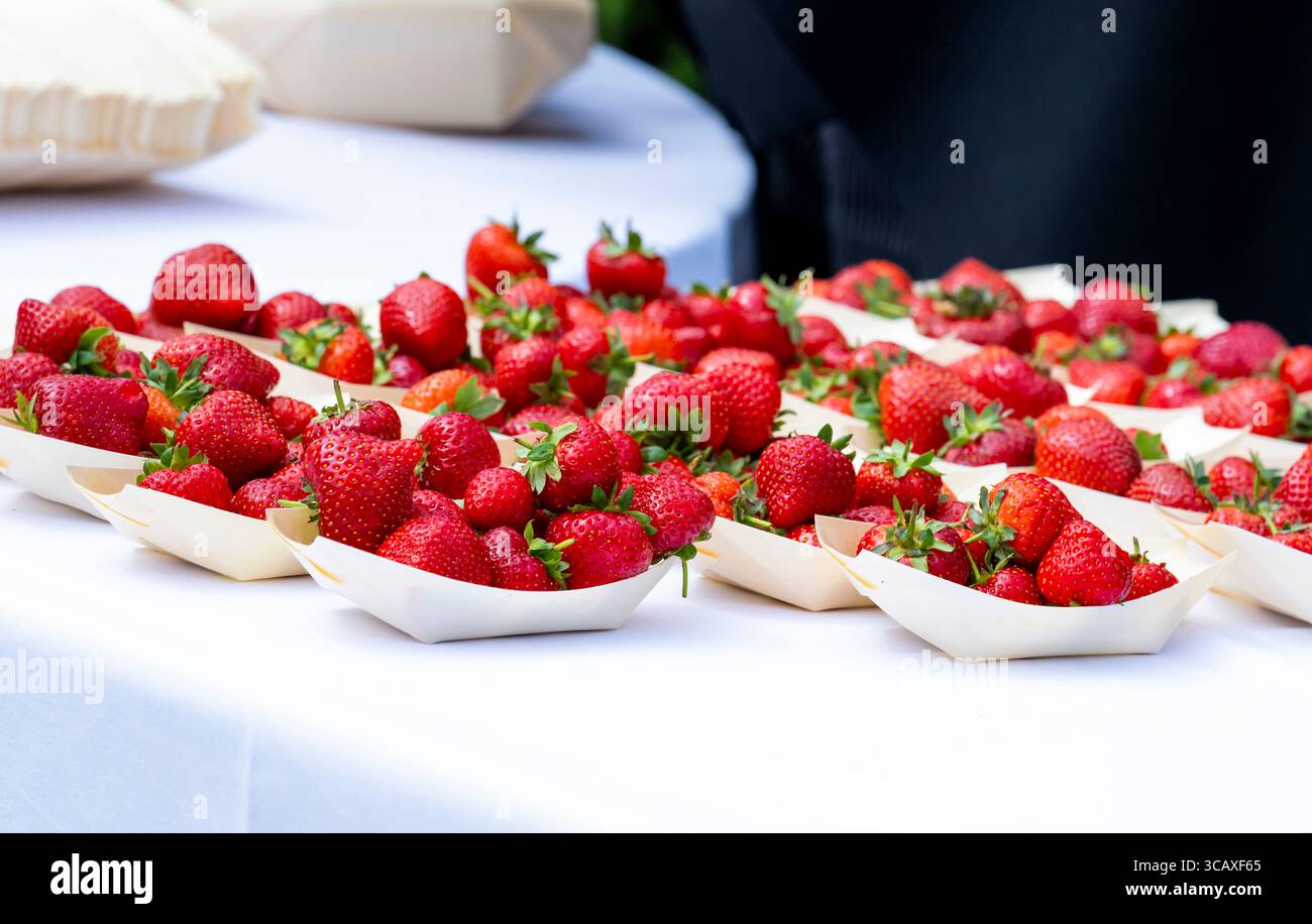 Qatar Goodwood Festival Meeting 2025 auf der Goodwood Racecourse, Chichester - Goodwood Free Erdbeeren and Cream - Tag 5 Samstag, 2. August 2025 Stockfoto