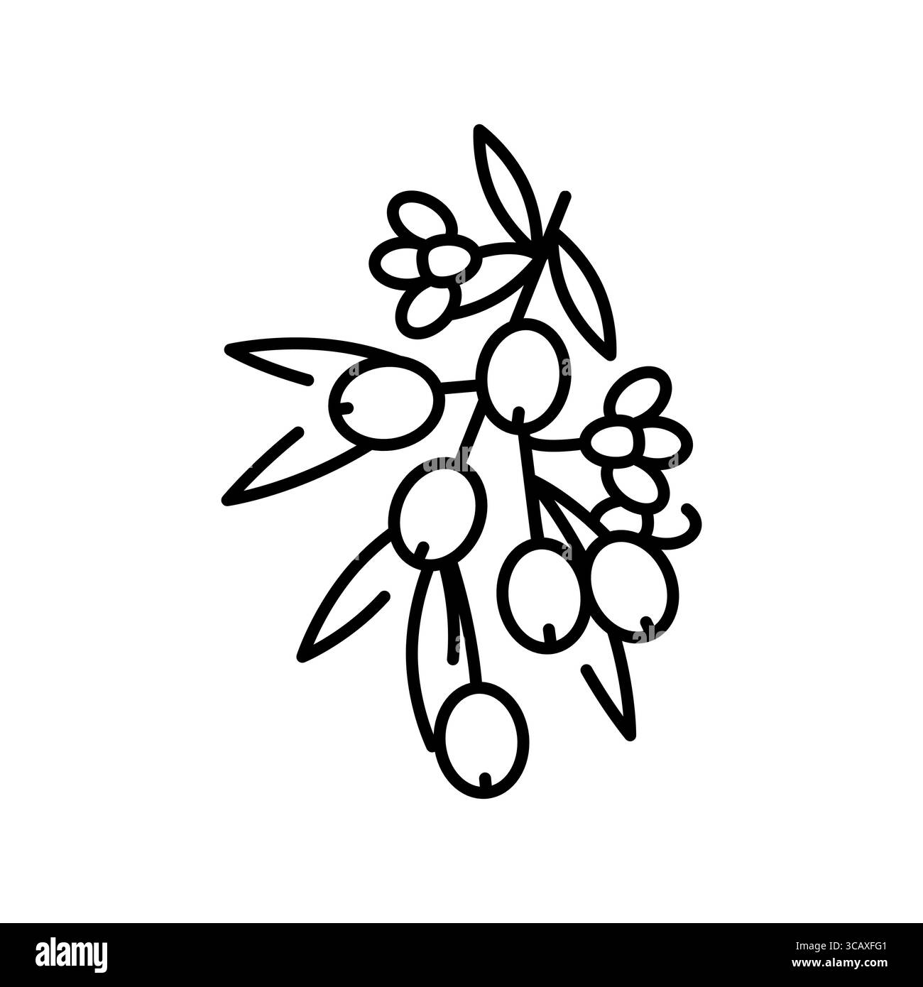 Blühendes olivfarbenes Symbol. Vektorisoliertes Element. Bearbeitbare Kontur. Stock Vektor