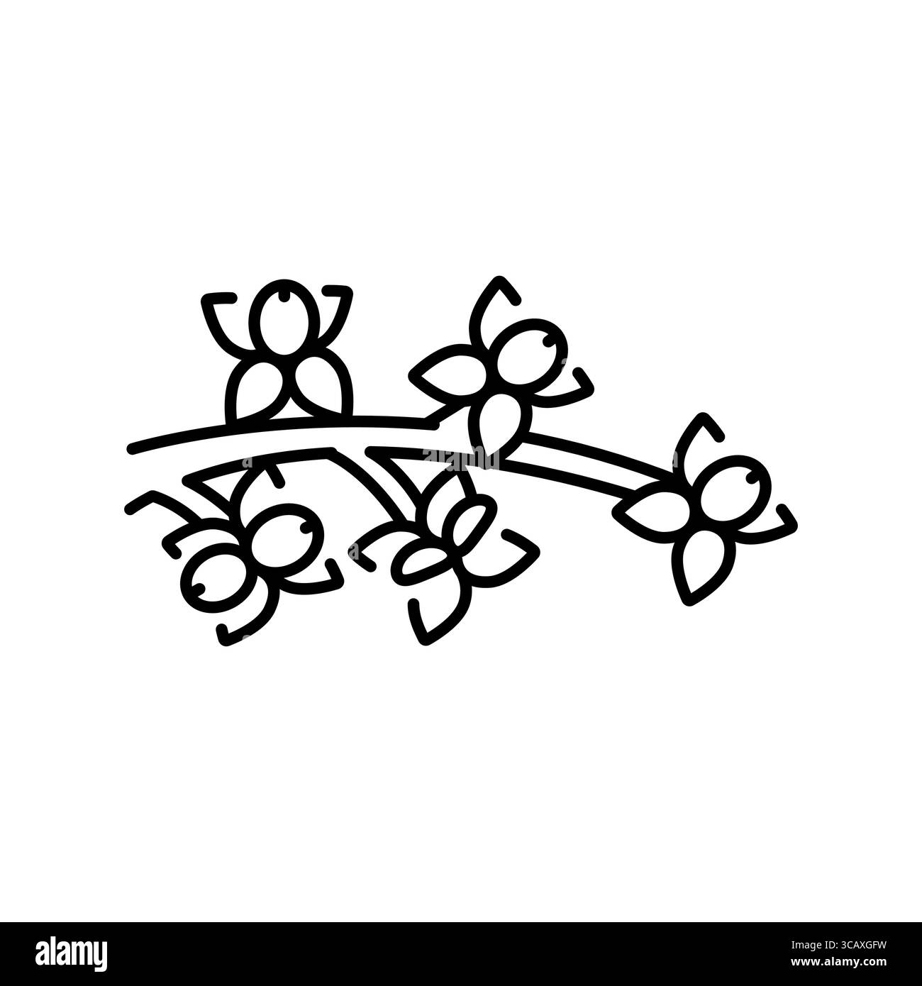 Symbol für schwarze Linie in Oliveninfloreszenz. Vektorisoliertes Element. Bearbeitbare Kontur. Stock Vektor