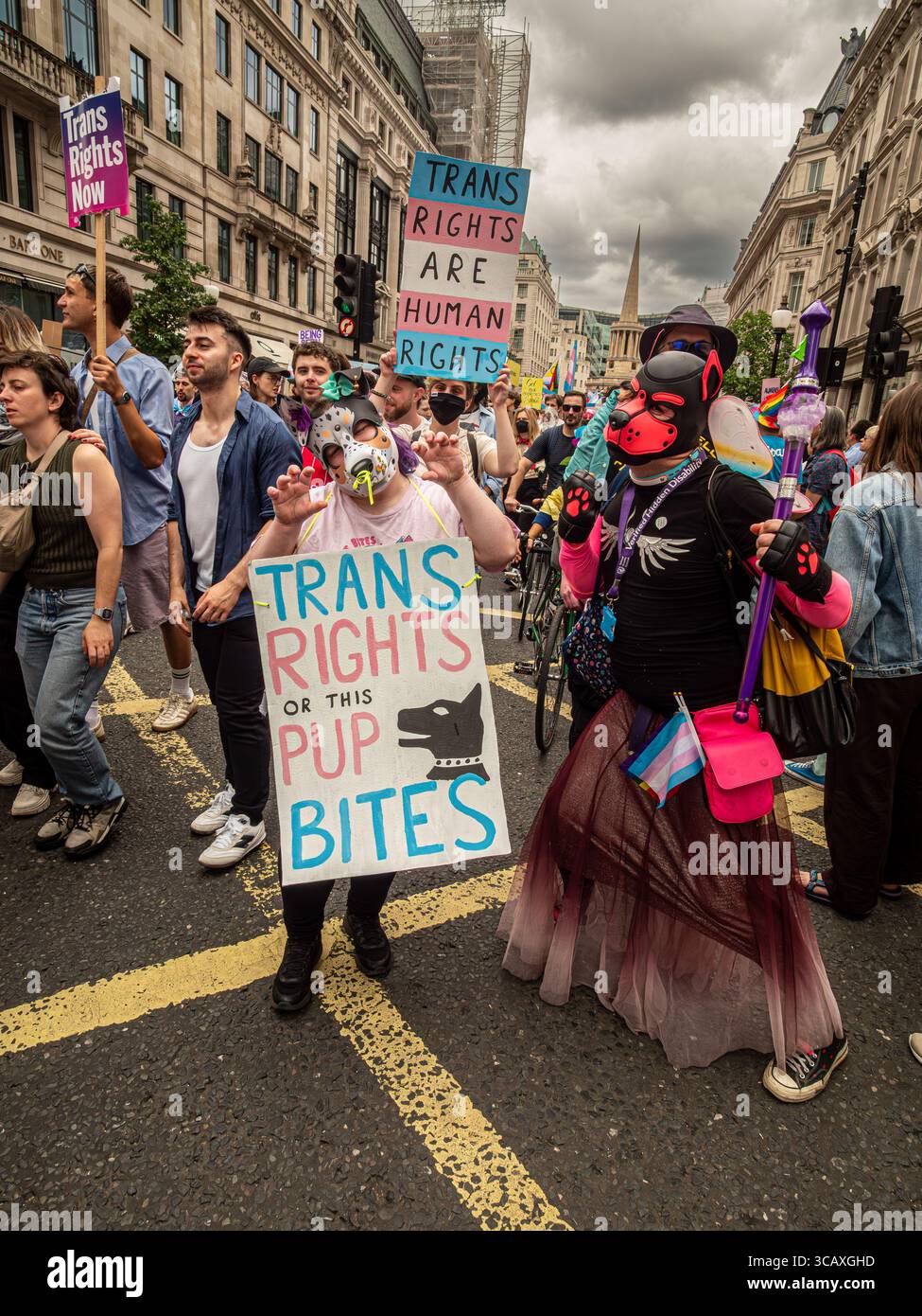 Demonstranten, einschließlich einer Person in Welpen-Spielausrüstung, halten Plakate für Trans+ Pride-Rechte während der jährlichen London Trans+ Pride Parade in London, Großbritannien. Stockfoto