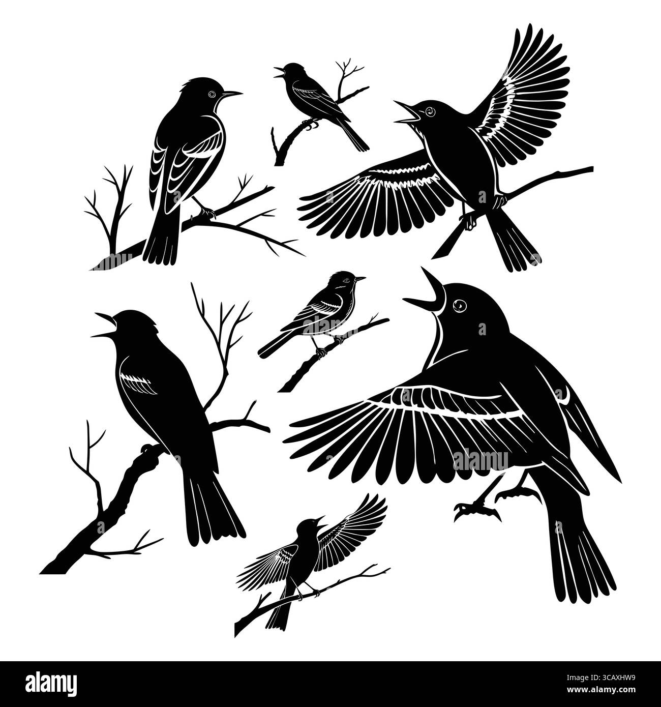Satz von Acadian Flycatcher Vogel Silhouette Illustrationen hoch oben und abfliegende Äste Stock Vektor