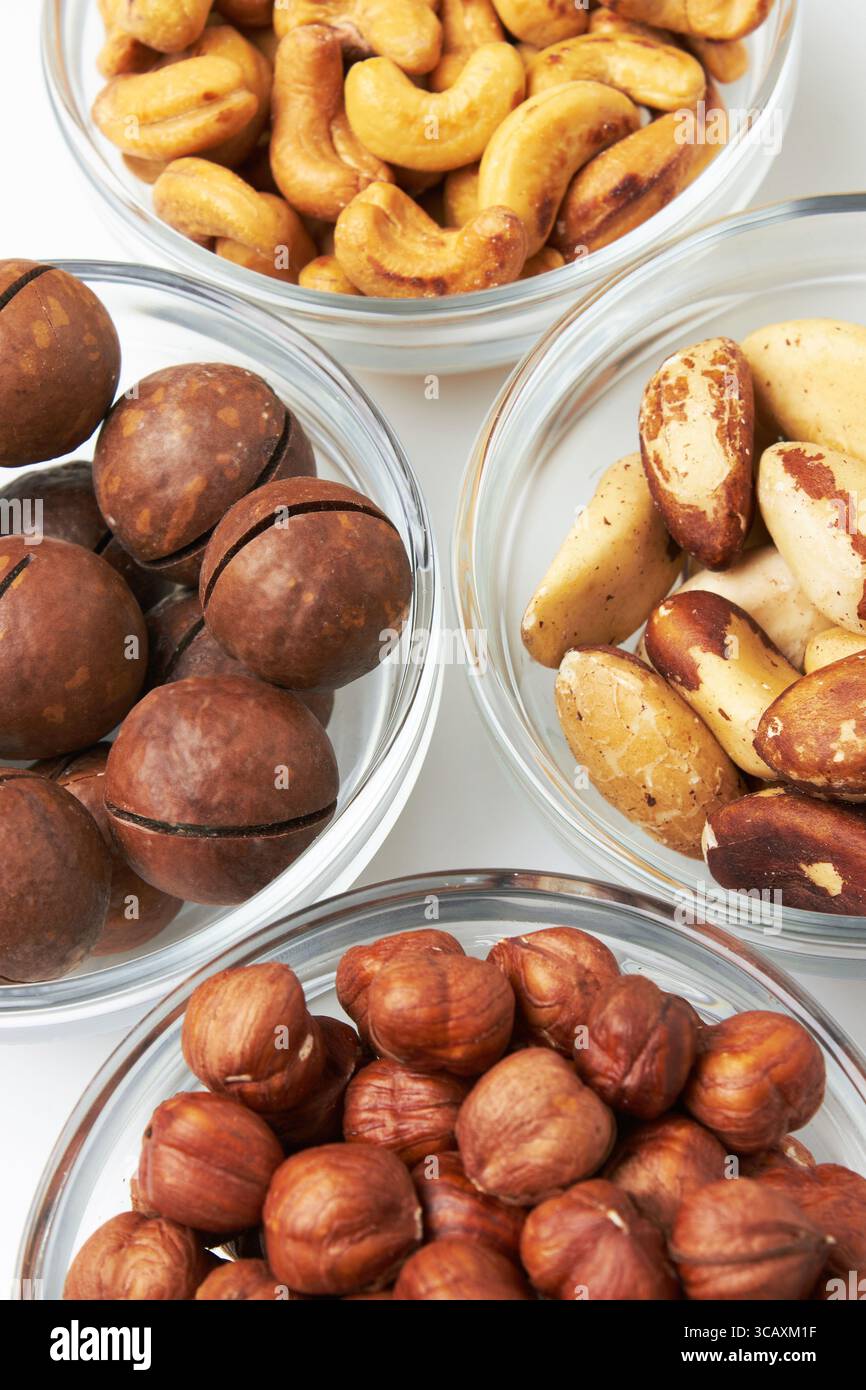 Nüsse in Schüsseln. Haselnuss, Macadamia, Cashew, paranuss, auf weißem Hintergrund. Stockfoto