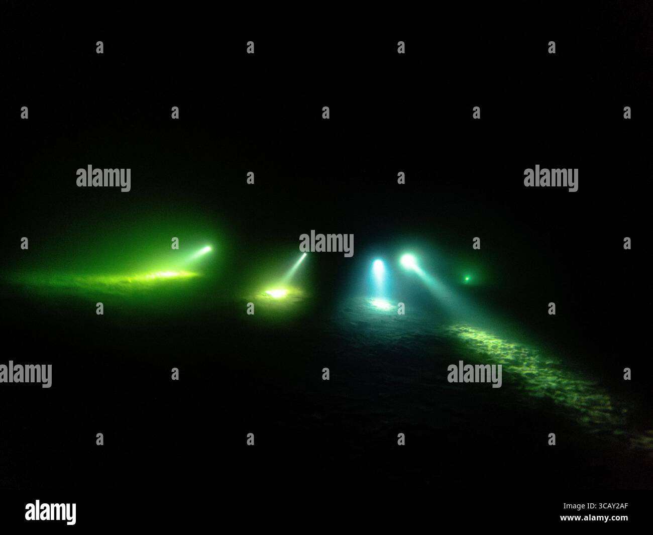 Unterwasser-Nachttauchgang mit mehreren Tauchern, die das dunkle Seegebiet mit grünen und blauen Taschenlampen im Thunersee, Schweiz, beleuchten Stockfoto