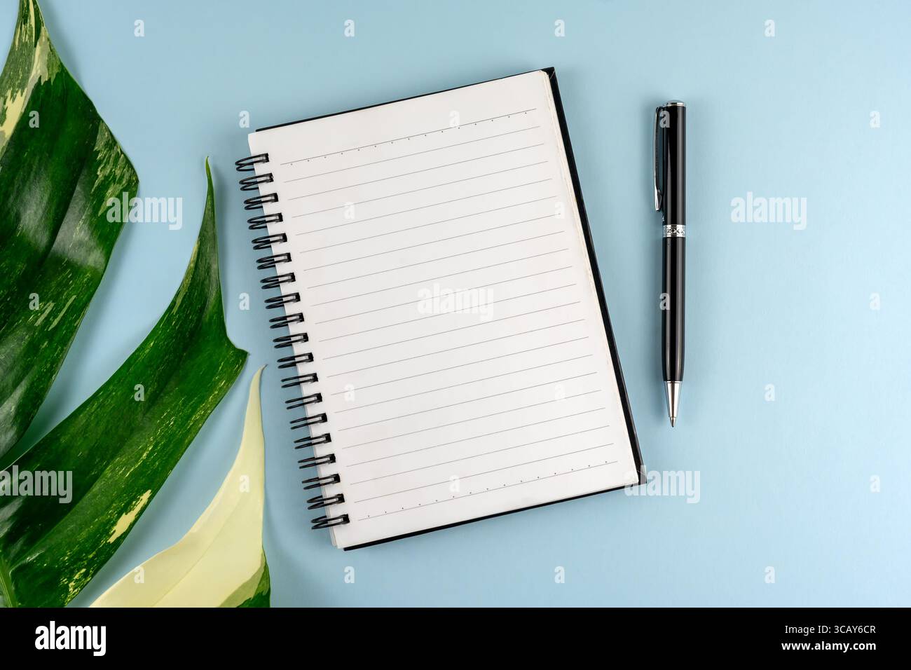 Draufsicht des leeren Notizblocks und des Stifts auf blauem Hintergrund Stockfoto