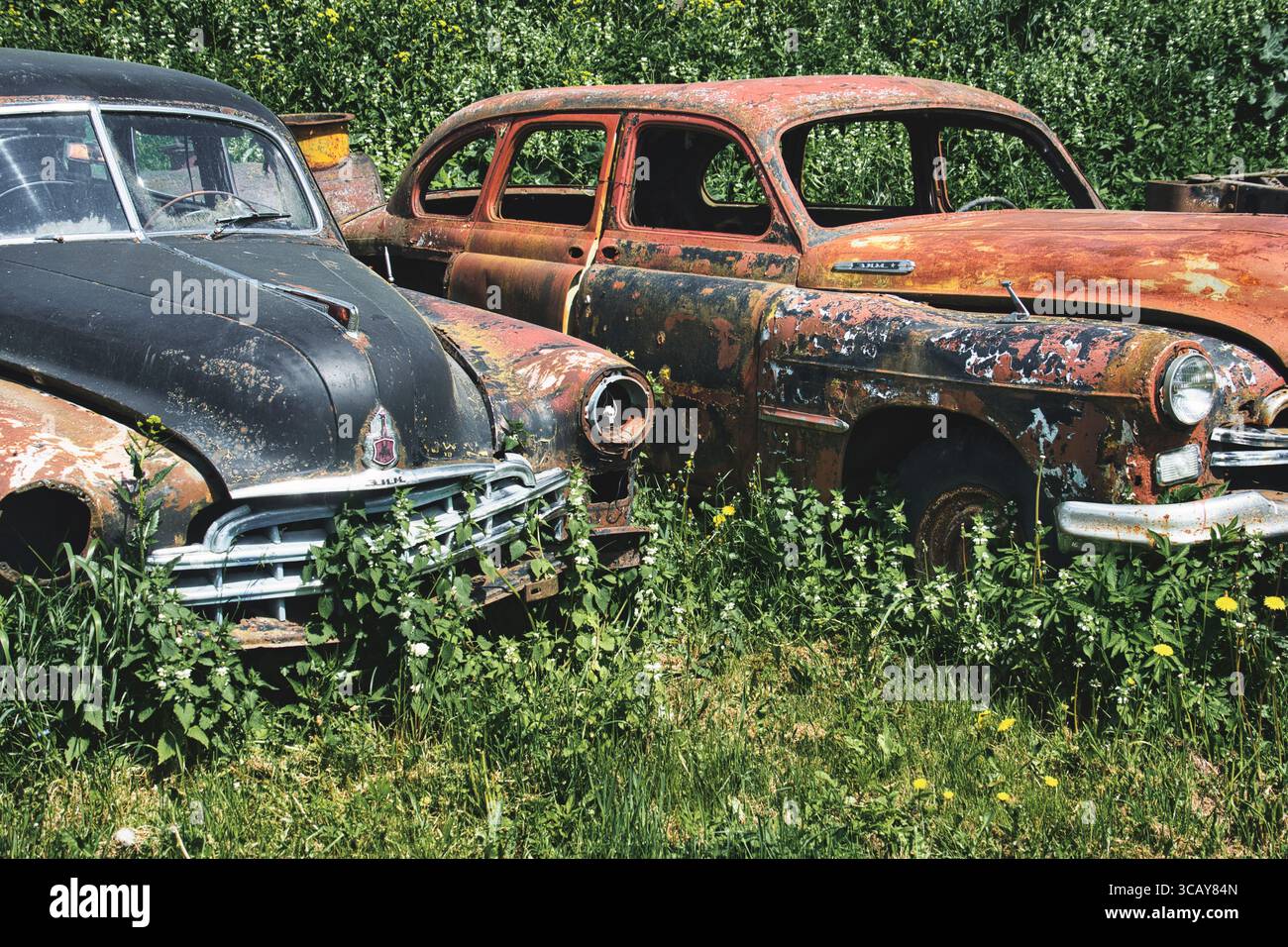 Verlassene sowjetische Oldtimer rosten auf einem überwucherten Feld Stockfoto