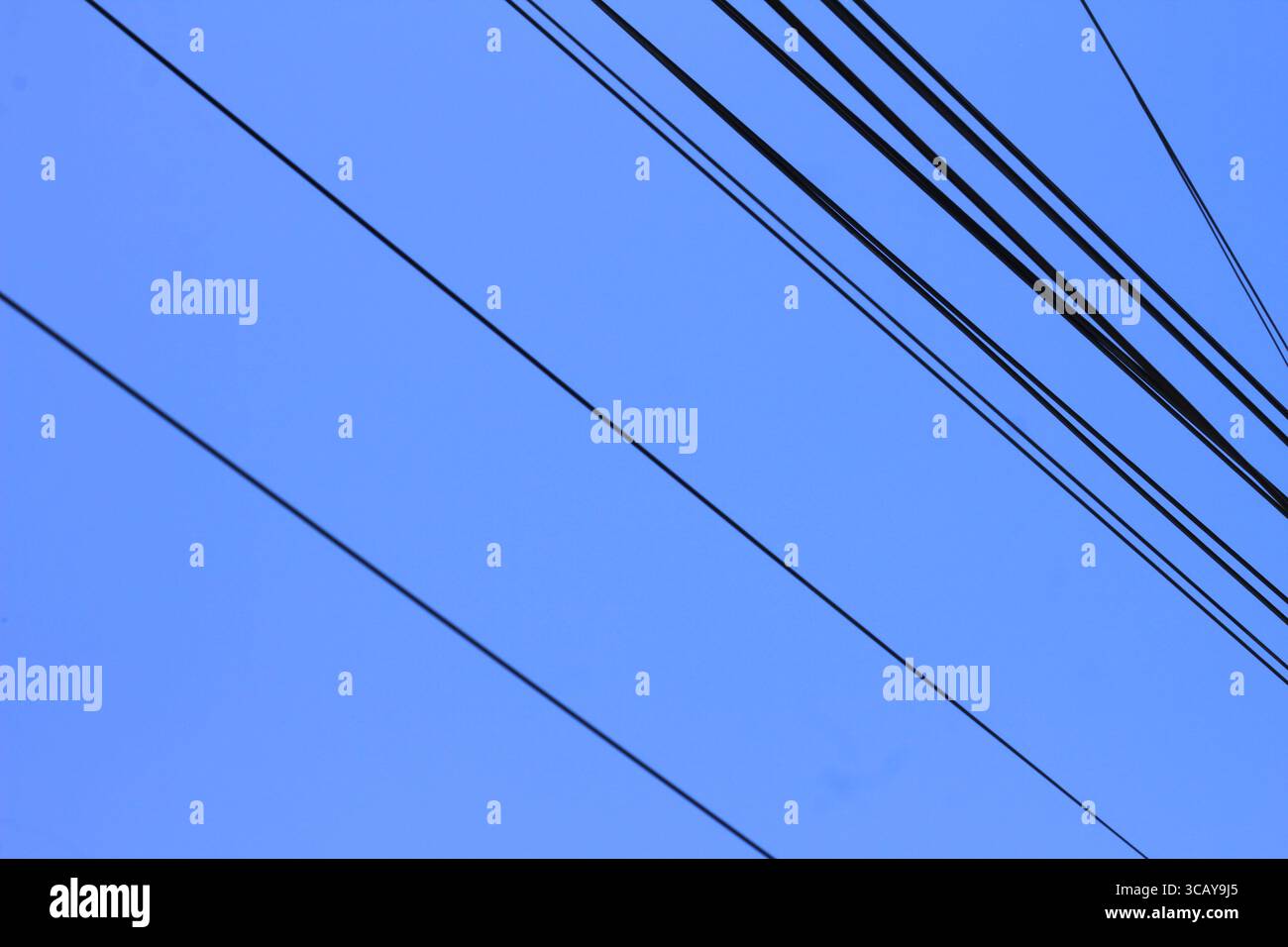Schwarze Hochspannungsleitungen erstrecken sich über einen klaren blauen Himmel. Stockfoto