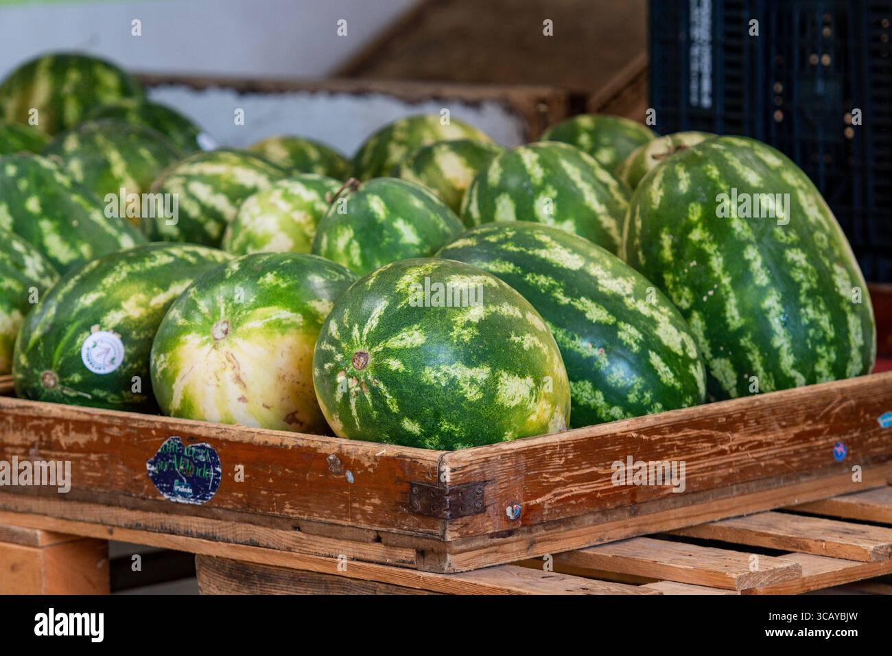 Frische ganze Wassermelonen in einer Holzkiste auf einem Obst- und Gemüsemarkt Stockfoto