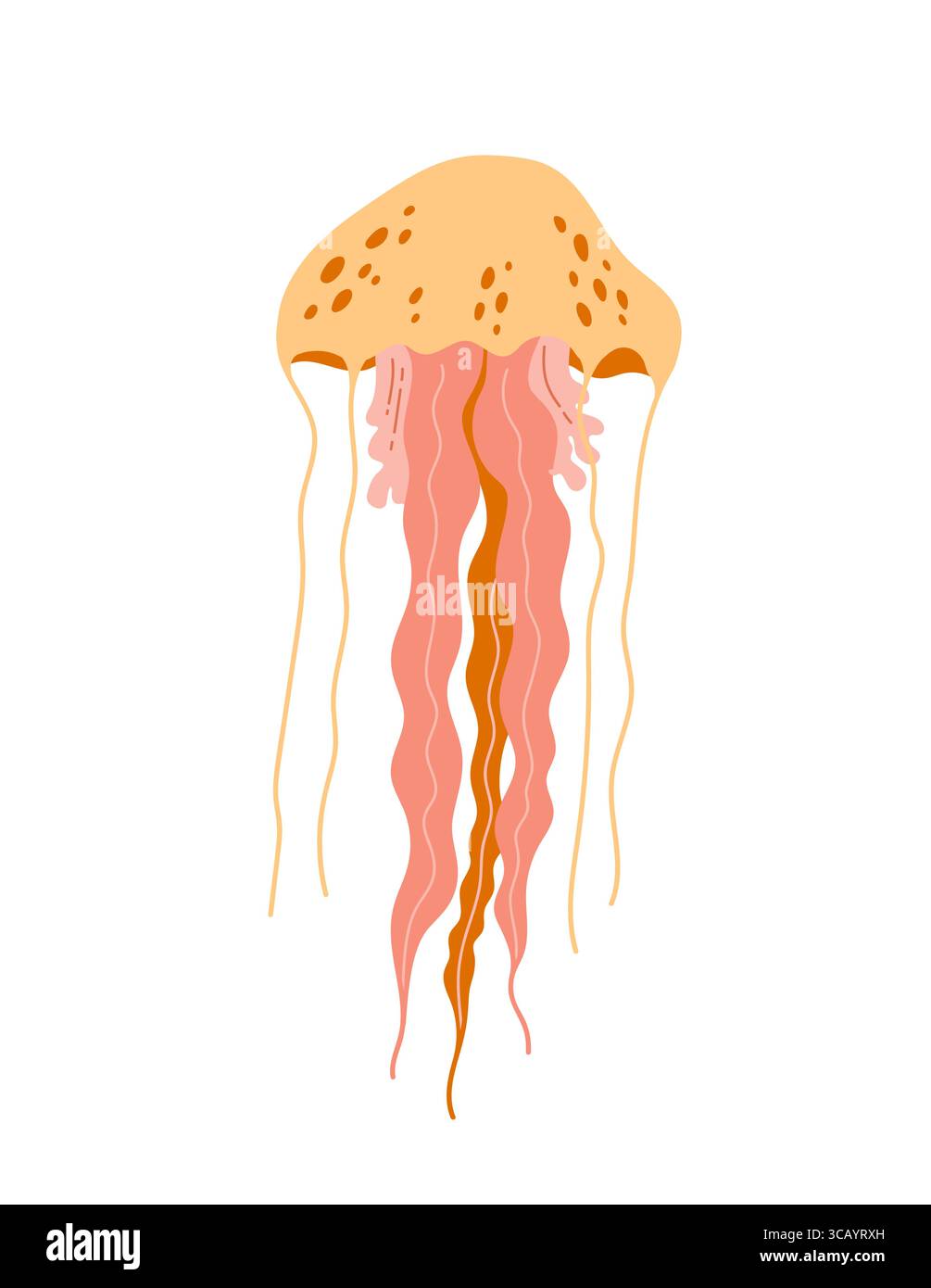 Quallen in flachem Stil isoliert auf weißem Hintergrund. Zeichentrickfilm-Marine-Tier-Vektor-Illustration Stock Vektor