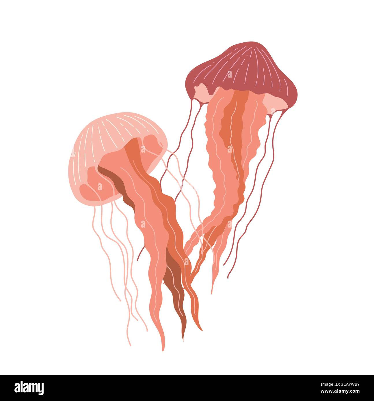 Zwei Quallen in flachem Stil isoliert auf weißem Hintergrund. Vektorillustration für Meerestiere Stock Vektor