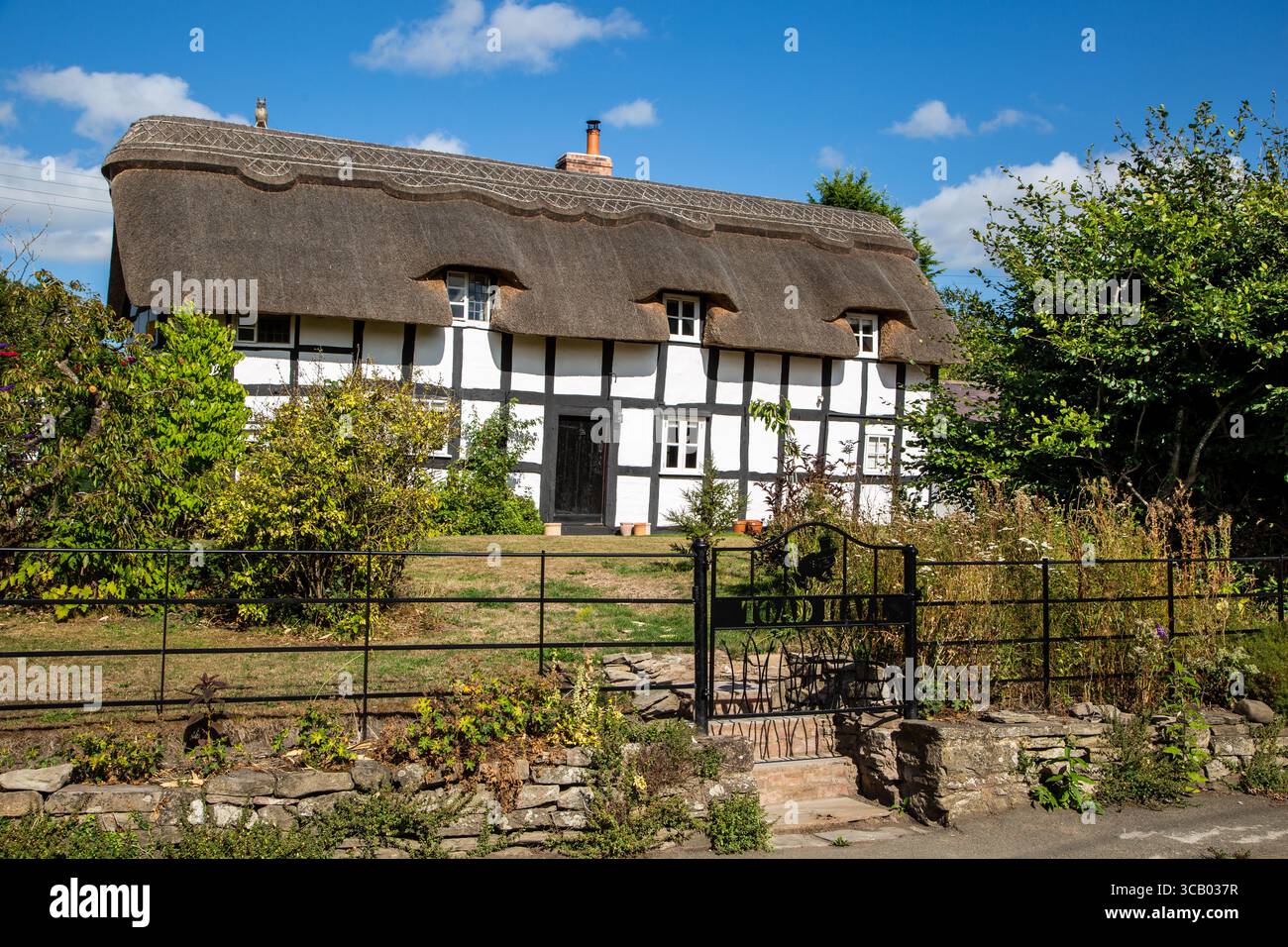 Toad Cottage, ein traditionelles englisches Fachwerkhaus mit Strohdach im Dorf Herefordshire Eardisland nahe Leominster, schwarz-weiß-Trail Stockfoto
