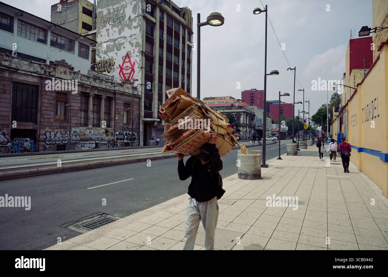 Ein Mann, der einen riesigen Stapel flacher Pappe auf dem Rücken durch das Colonia Centro trägt Stockfoto
