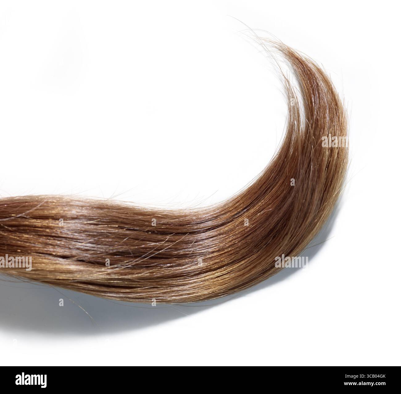 Natürliche braune Haarsperre isoliert auf weißem Hintergrund, Draufsicht Stockfoto