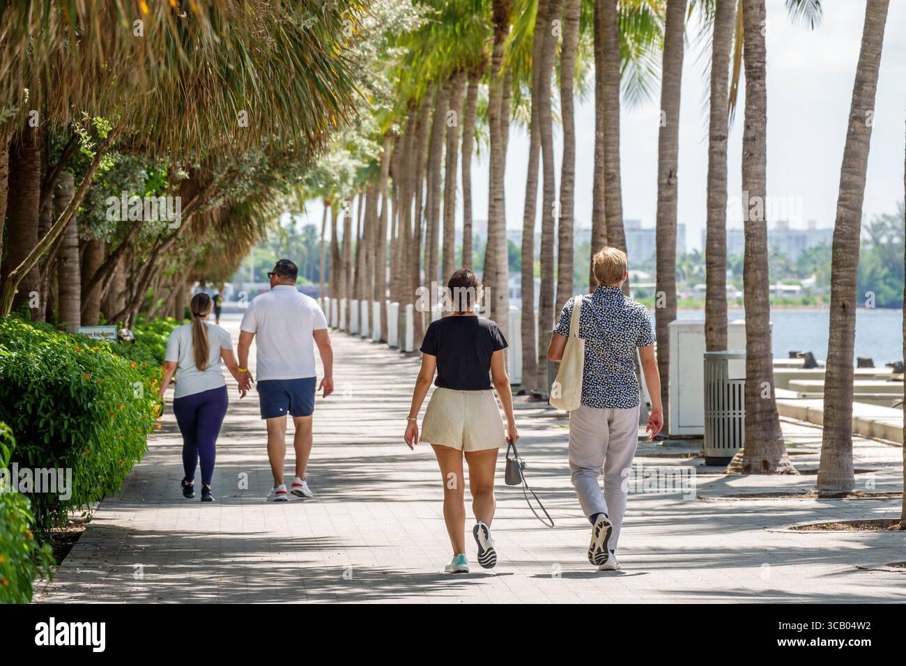 Miami Florida, Biscayne Boulevard, Maurice A. Ferre MAF Park View, Baywalk Paare, Erwachsene Erwachsene Männer Männer männlich, Frauen weiblich, gehen entlang Palme t Stockfoto
