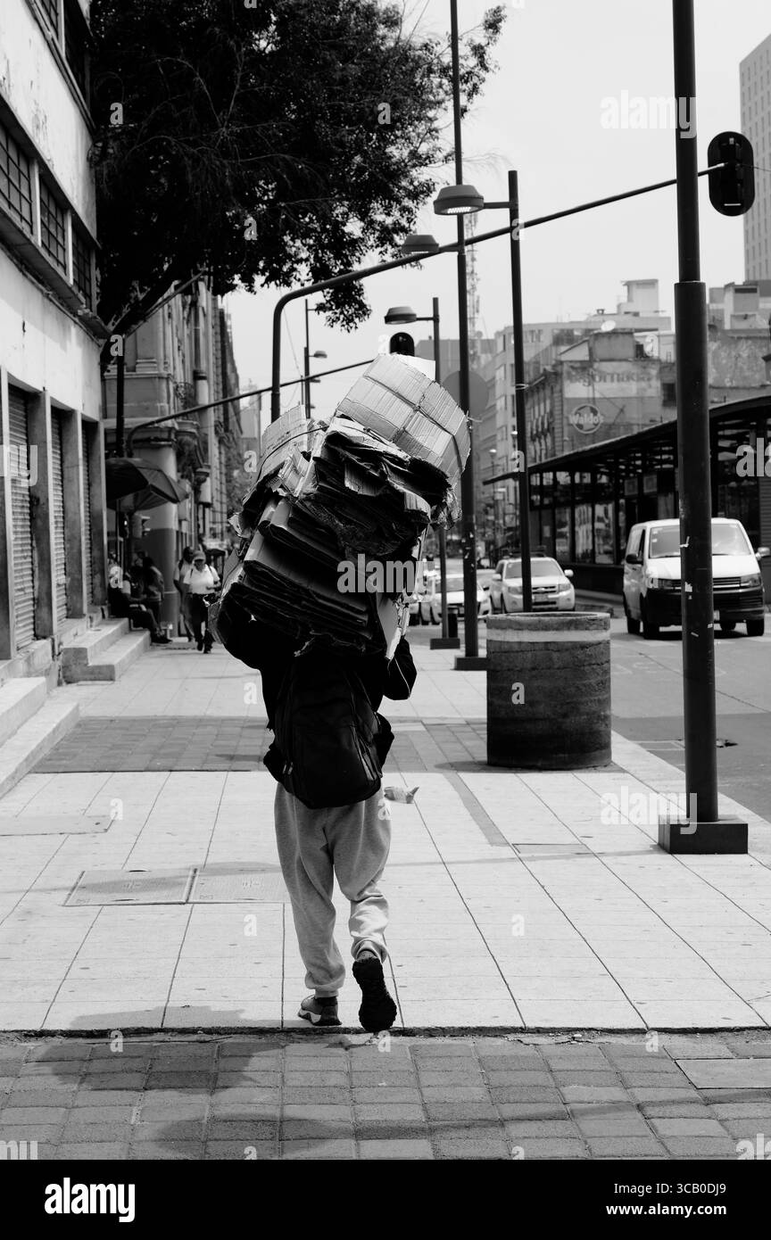 Person mit einem großen Stapel flacher Kartonschachteln auf dem Rücken, während sie in s&W durch die Straßen des Colonia Centro geht Stockfoto