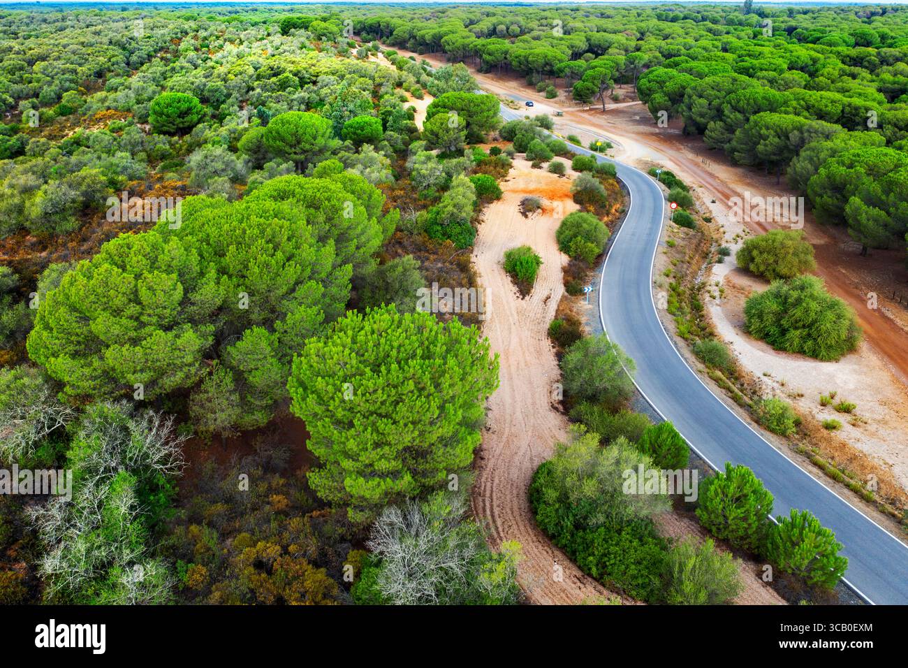 21. September 2022, Sevilla, Spanien: Aus der Vogelperspektive von Dehesa de Abajo, La Puebla del RÃ­o, Donana Nationalpark Sevilla Spanien...das konzertierte Naturschutzgebiet Dehesa de Abajo ist die Kontaktzone zwischen den südlichsten Ländern der Region Aljarafe und den Marschgebieten von Guadalquivir. Durch die Kombination von mediterranen Wäldern und Sumpfgebieten ist der botanische Reichtum und die Fauna sehr groß. Im Naturschutzgebiet und in seiner Umgebung gibt es sehr geeignete Wege zum Wandern, Radfahren oder Reiten. In seiner Landschaft stechen Lagunen wie La Rianzuela hervor, die von reinem Gestrüpp, Pinien und großen umgeben ist Stockfoto