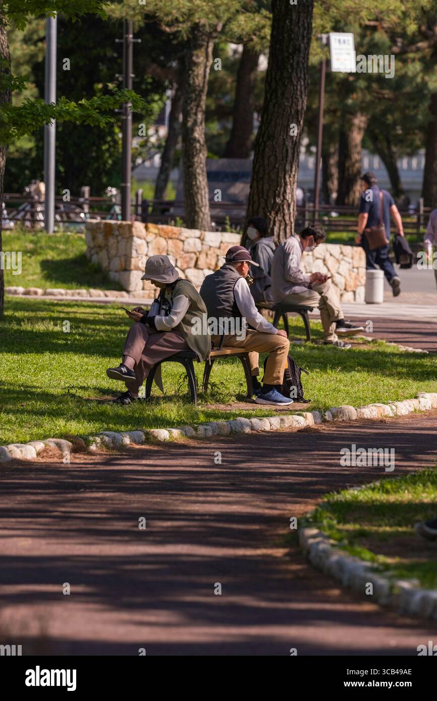 Eine ruhige Szene, in der Menschen auf Parkbänken sitzen und einen sonnigen Tag genießen. Das üppige Grün und die friedliche Umgebung sorgen für einen entspannenden urbanen Rückzugsort Stockfoto