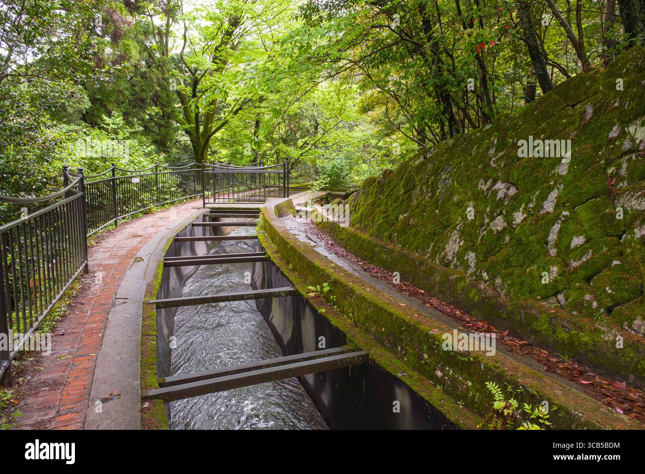 Ein ruhiger Weg verläuft am See Biwa, der von üppig grünen Blättern umgeben ist. Die Ruhe der Natur bietet einen friedlichen Rückzugsort und Stockfoto
